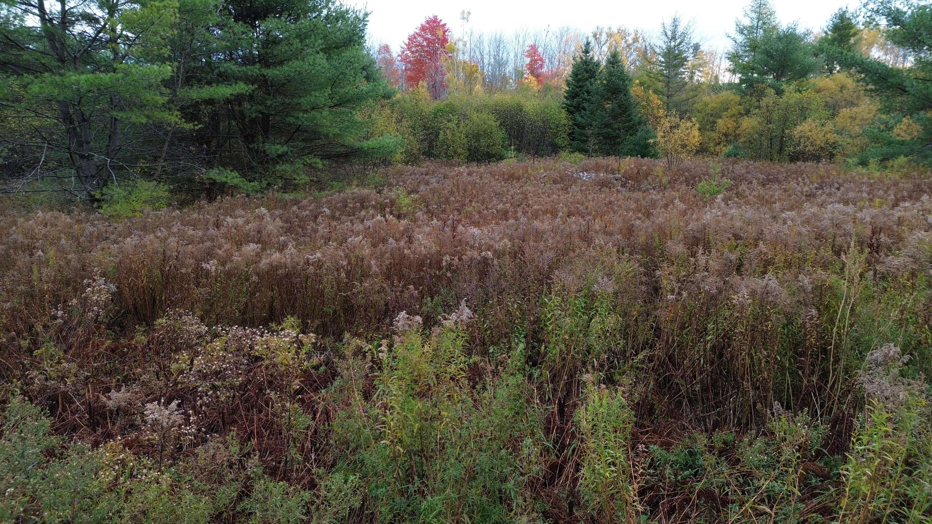 Sangerville, ME 04479,Map5Lot1 Silvers Mills RD