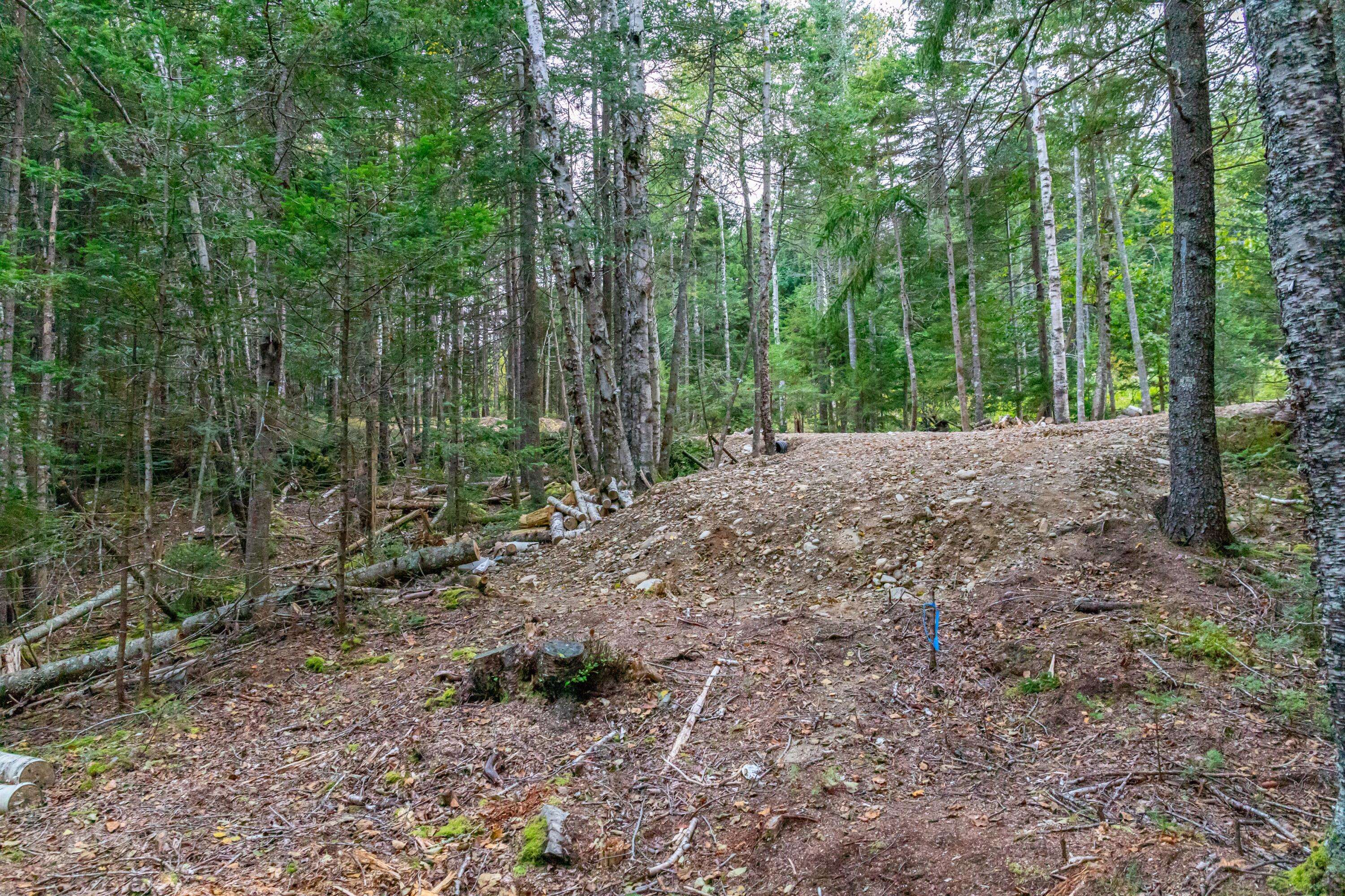 Machias, ME 04654,Lot2A-2 Holway RD