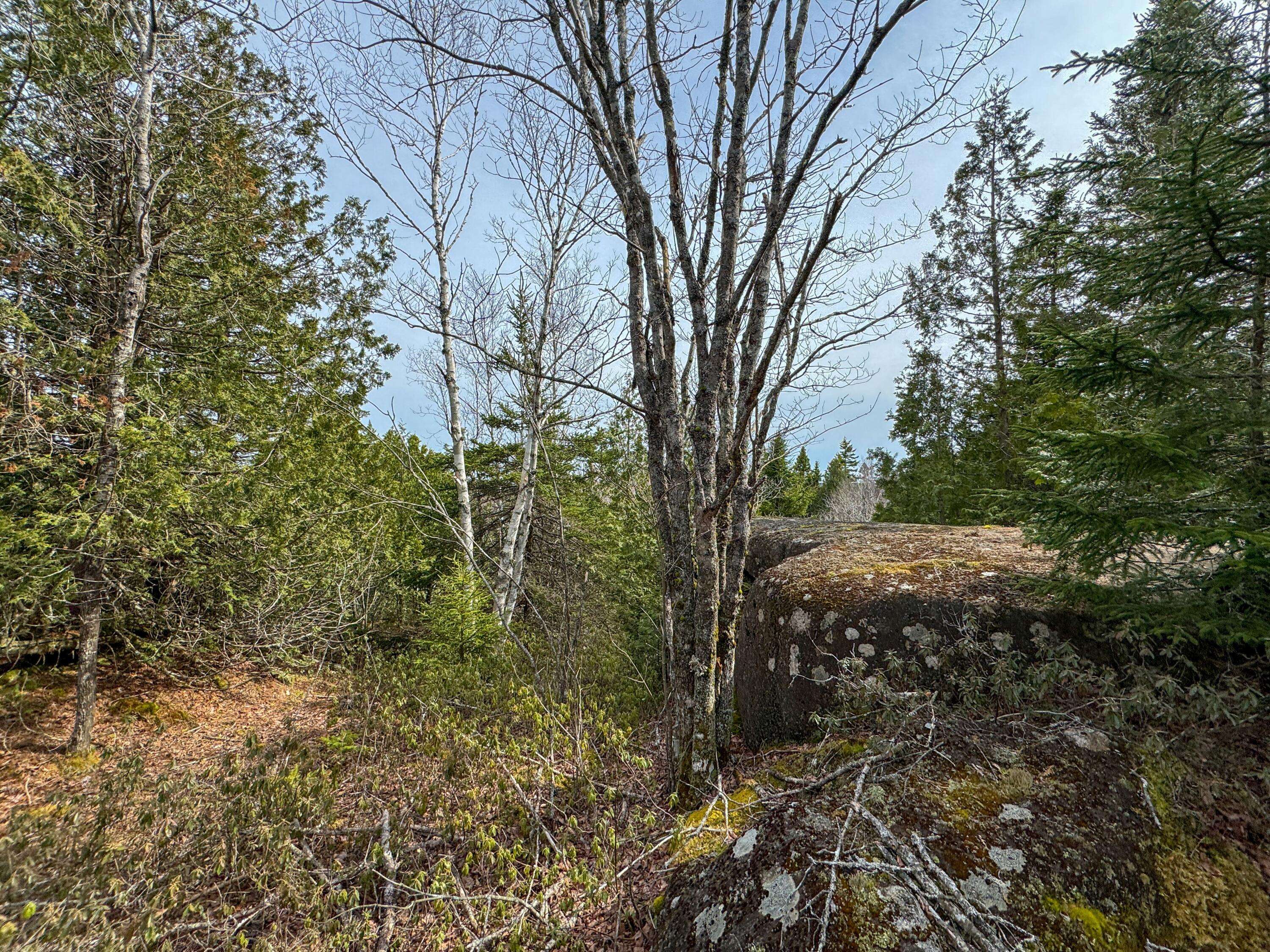 Cutler, ME 04626,Lot 8 Number 9 RD