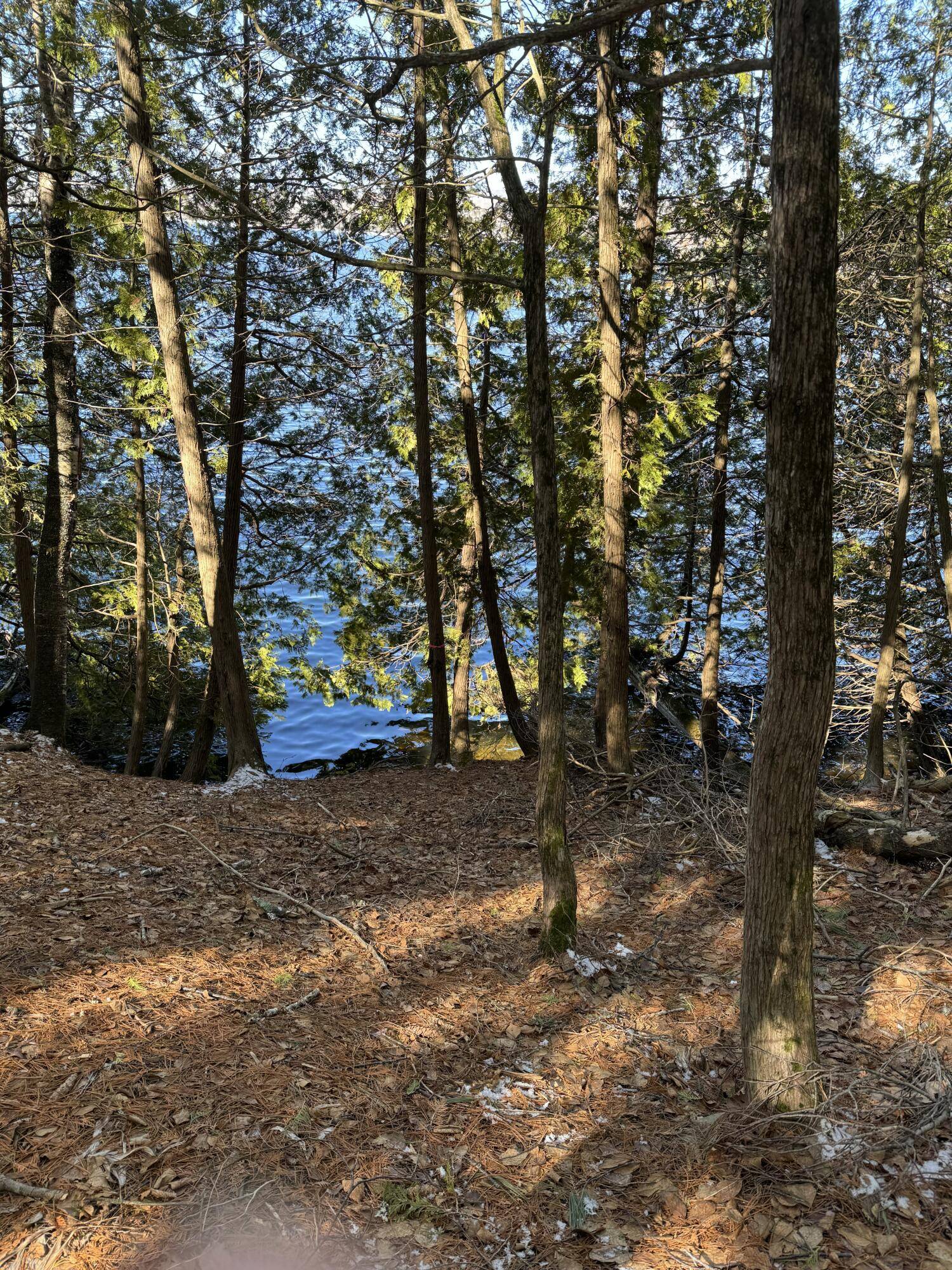 Saint Albans, ME 04971,78 Martin RD