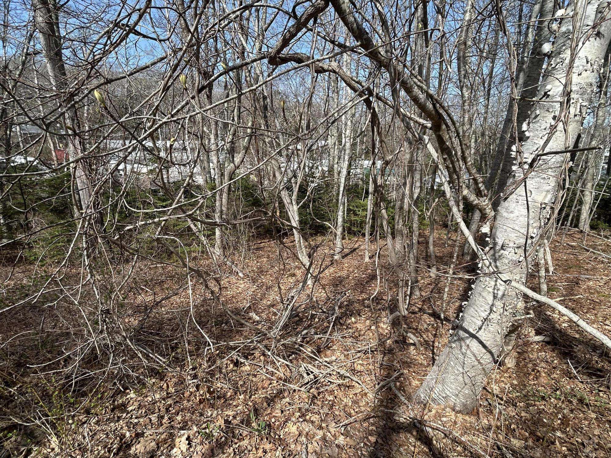 South Bristol, ME 04568,Lot 63 M14 John Gay RD