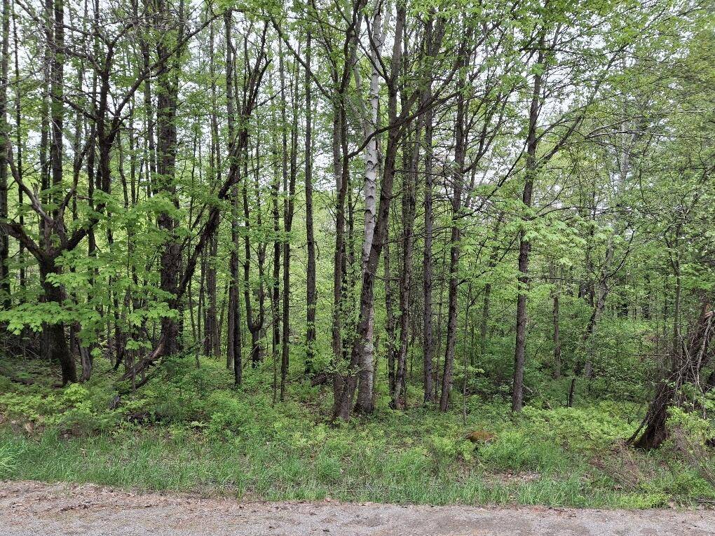 New Portland, ME 04954,56 School ST