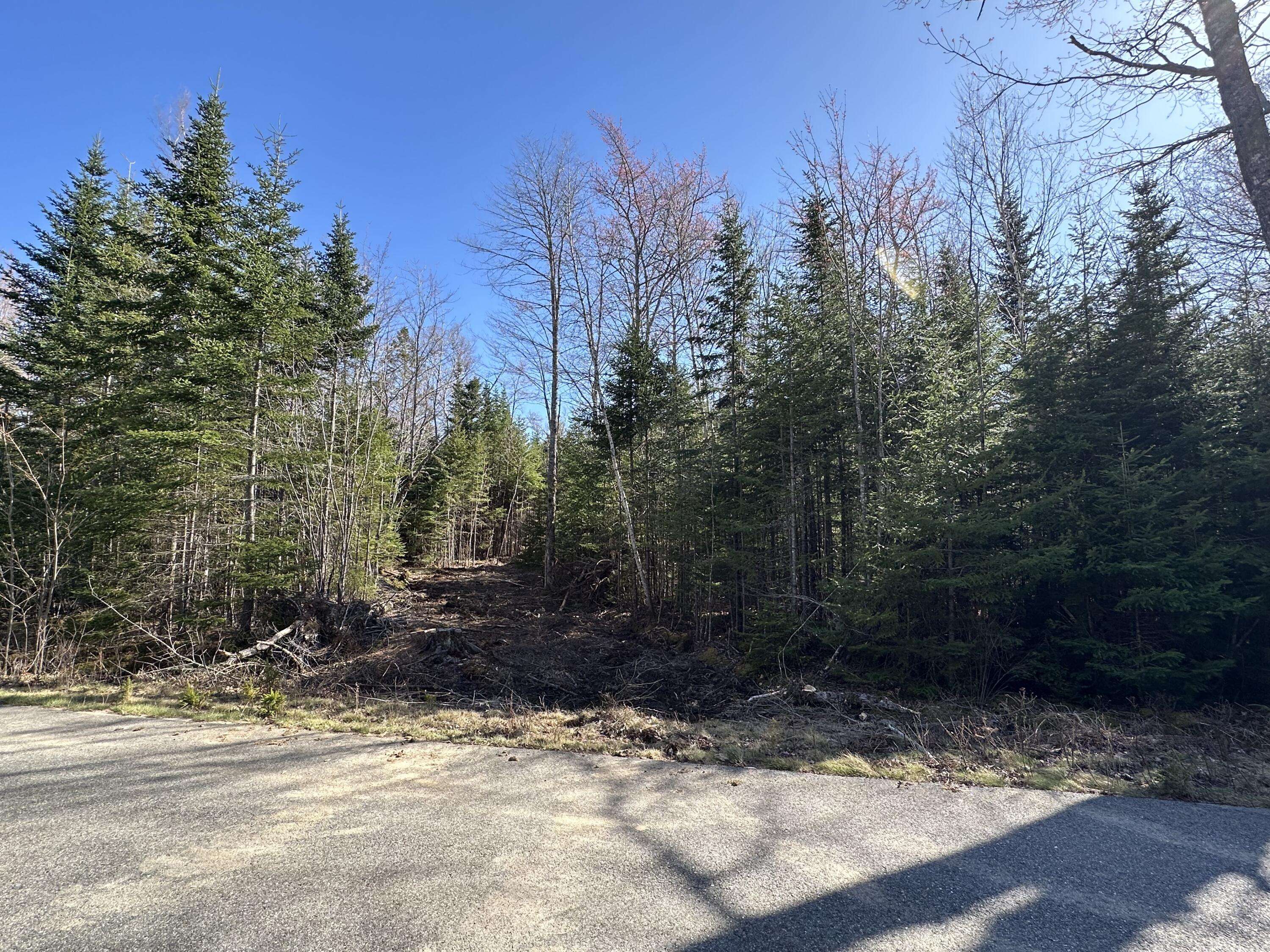 Gouldsboro, ME 04607,Lot 14 Merganser Drive