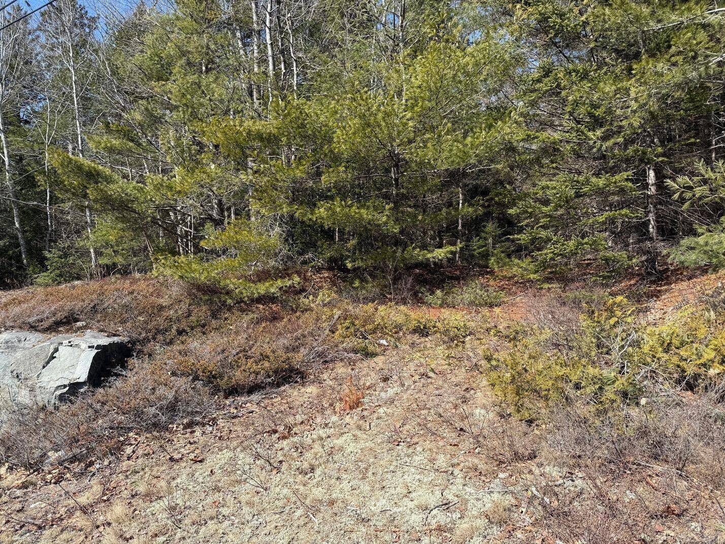 Gouldsboro, ME 04607,Lot 48A Route 1