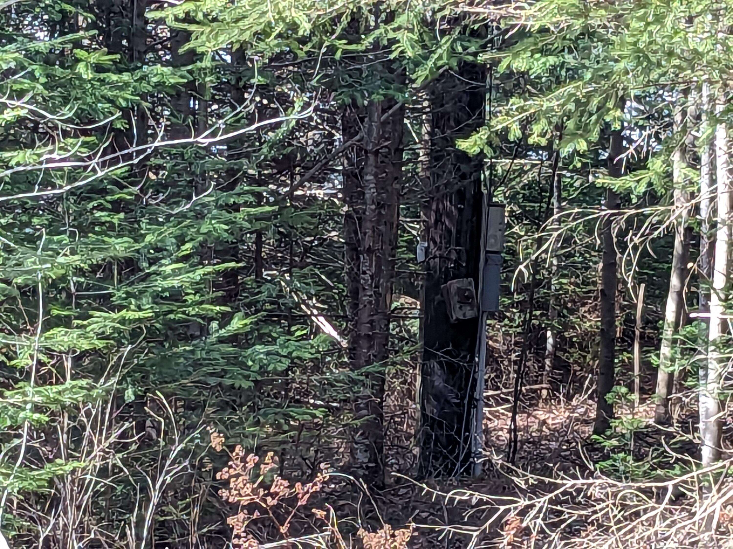 Machiasport, ME 04655,4-28 Old Town Rd/Old County RD RD