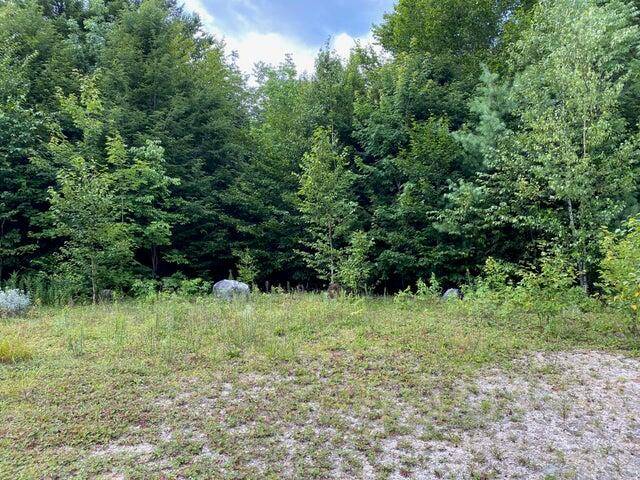 Cathance Twp, ME 04628,WA4 Partridge Knoll