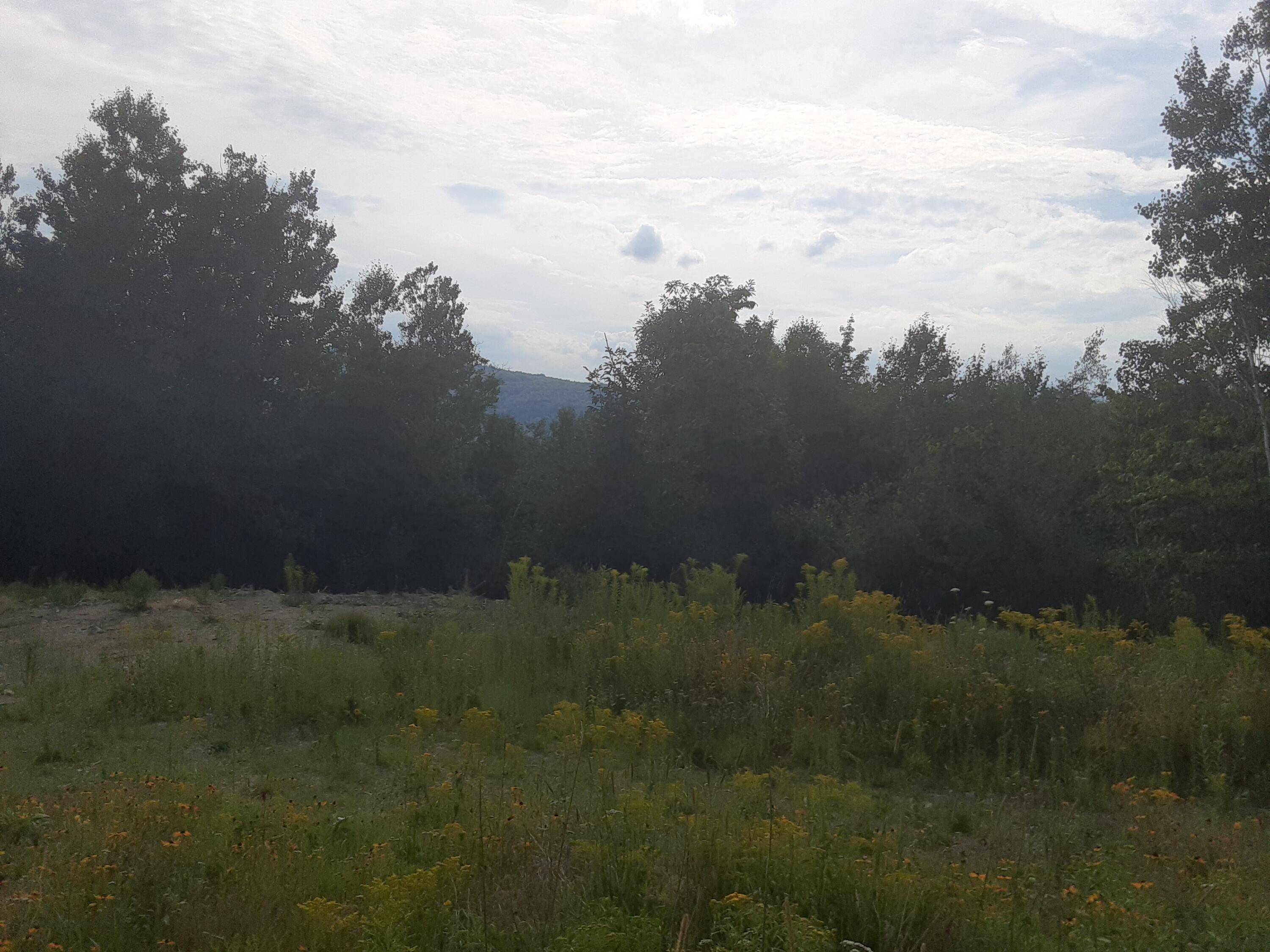 Rumford, ME 04276,0 Bear LN