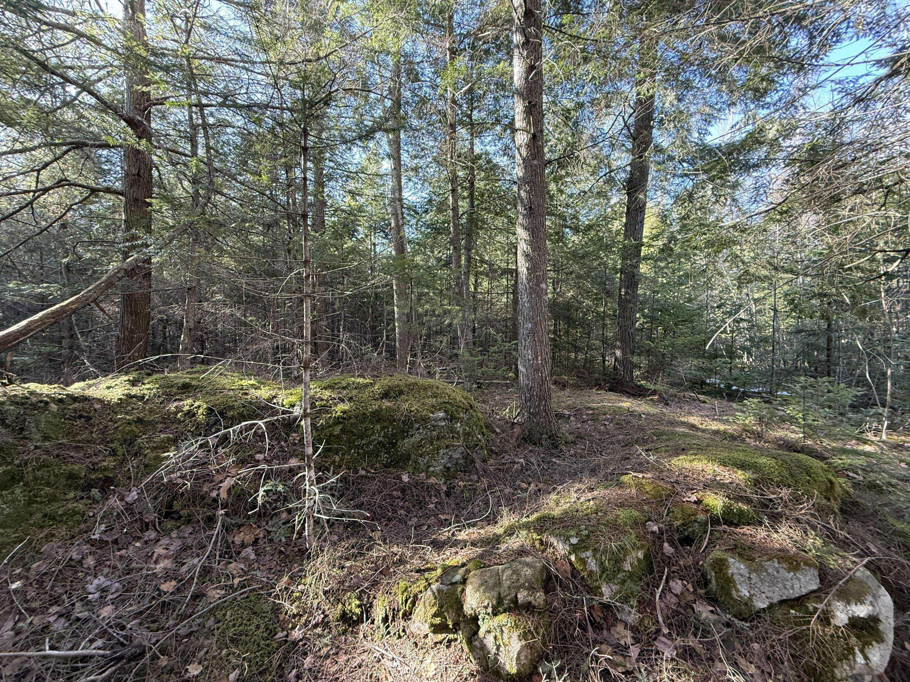 Monroe, ME 04951,Lot 45 Dickey Hill rd