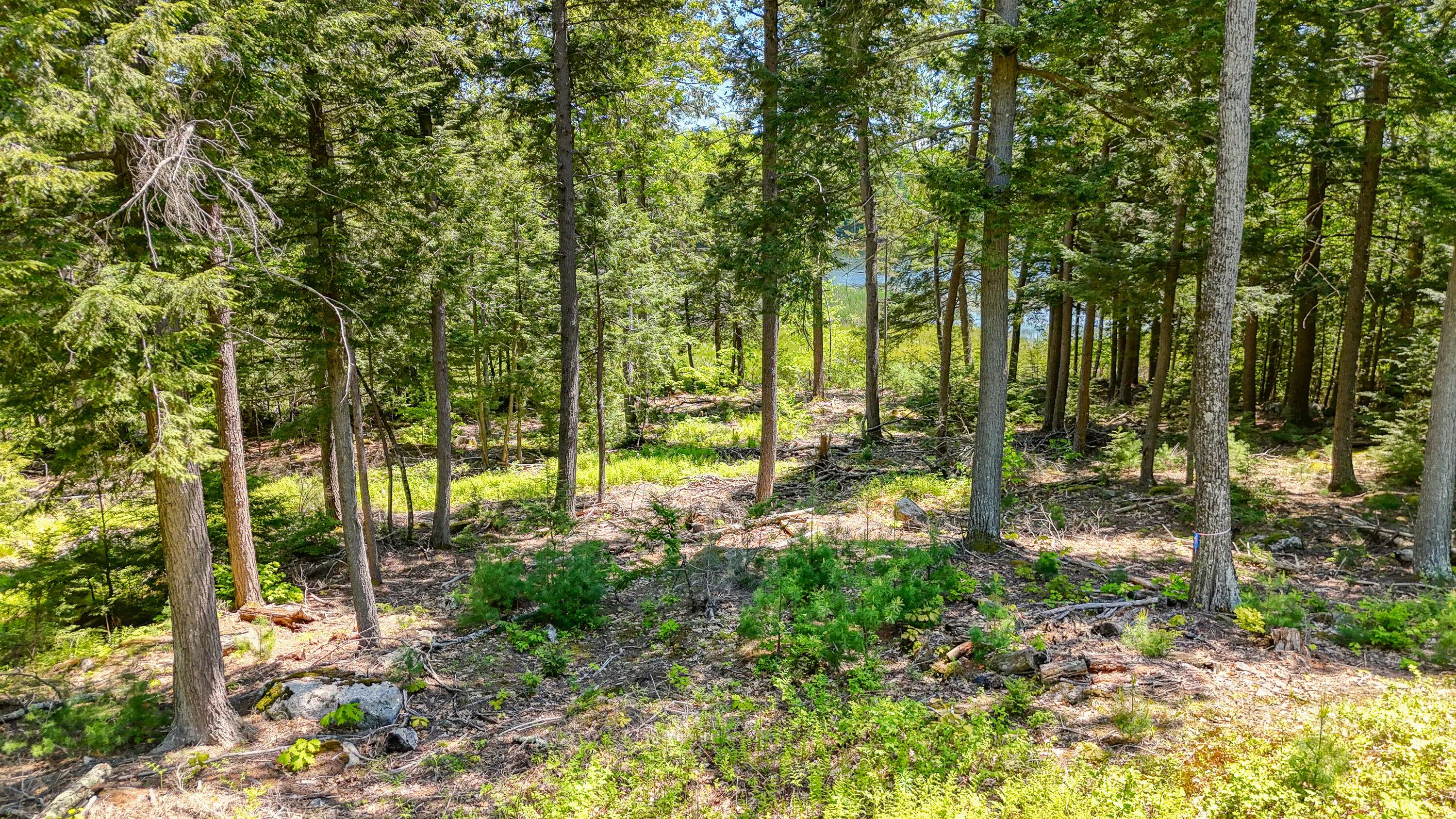 Winthrop, ME 04364,M3 L9 Winthrop Center RD