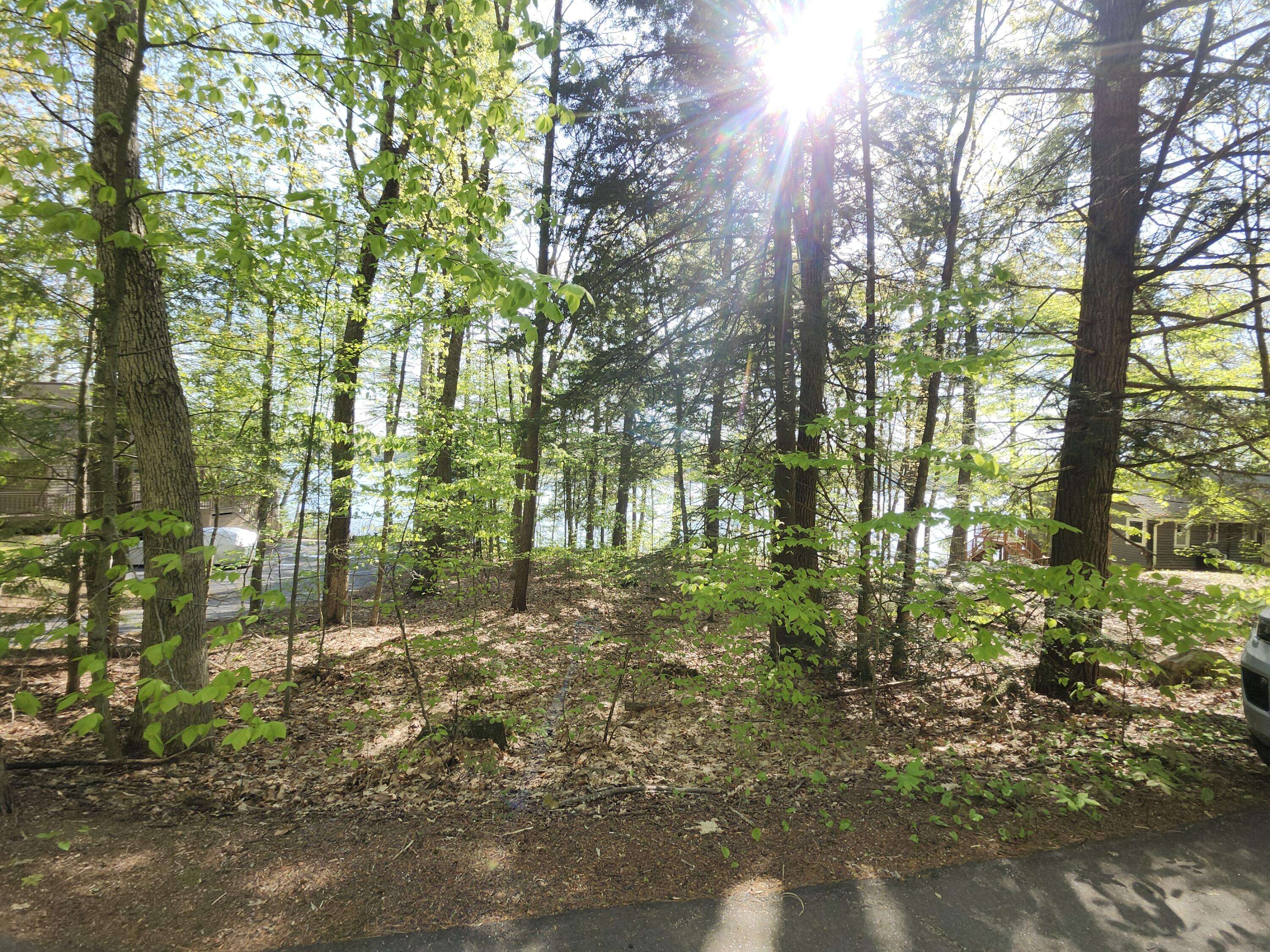 Naples, ME 04055,Lot #006 Trickey Pond RD