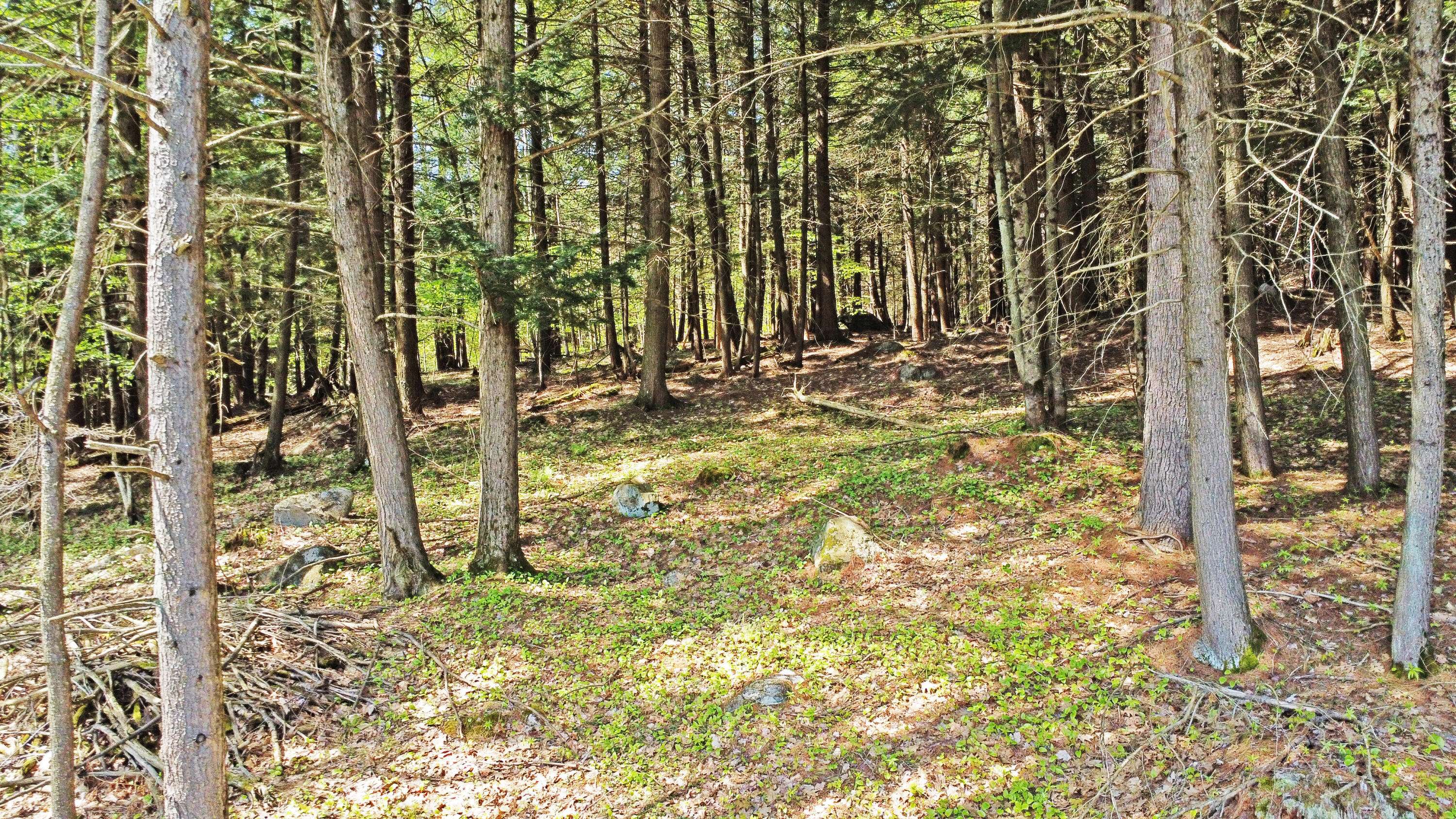 Peru, ME 04290,34 Veterans ST