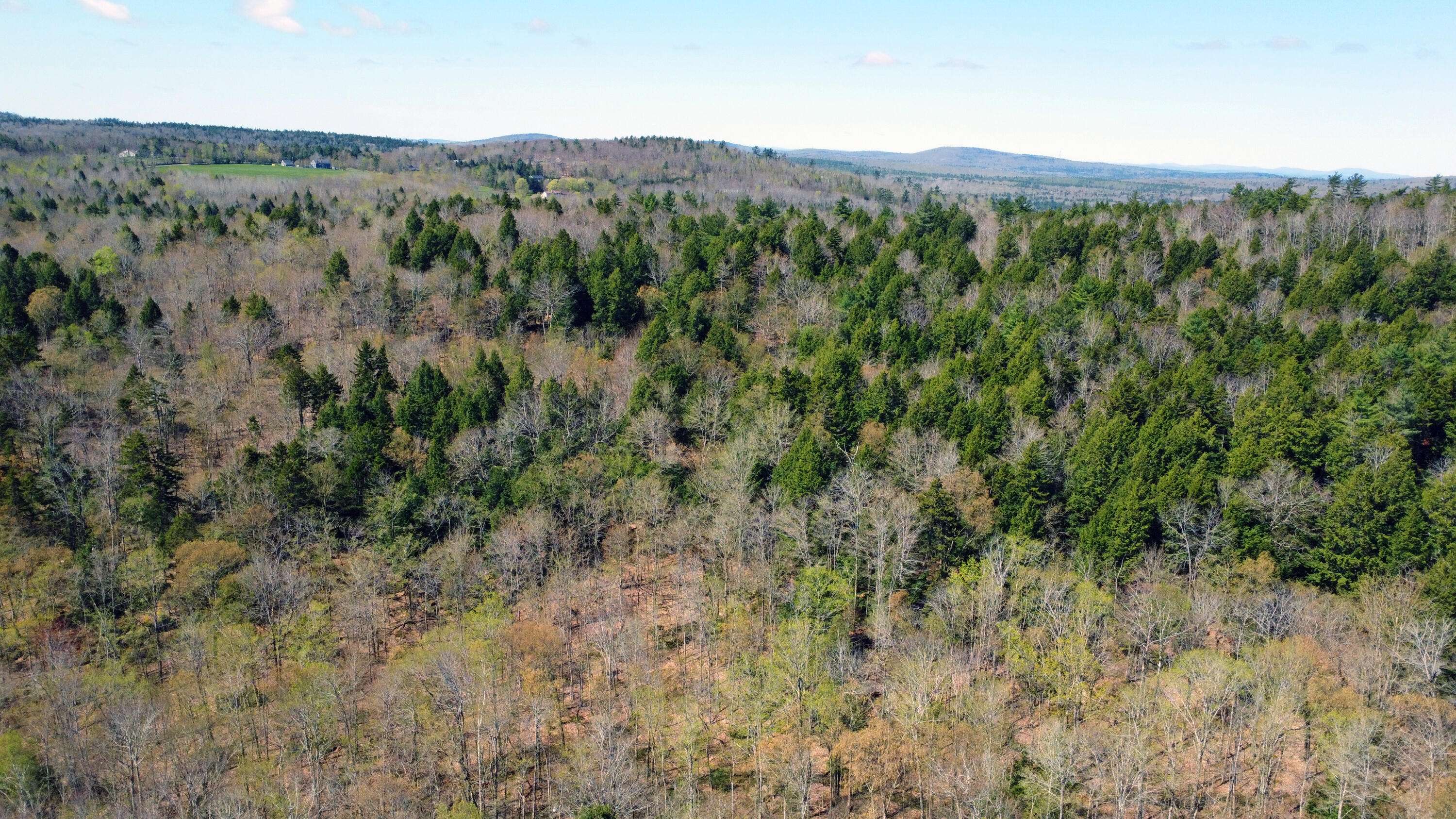 Dedham, ME 04429,Lot 4 Peakes Hill RD