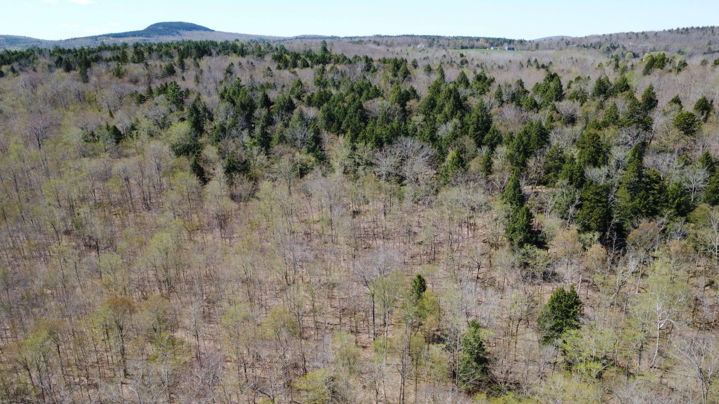 Dedham, ME 04429,Lot 5 Peakes Hill RD
