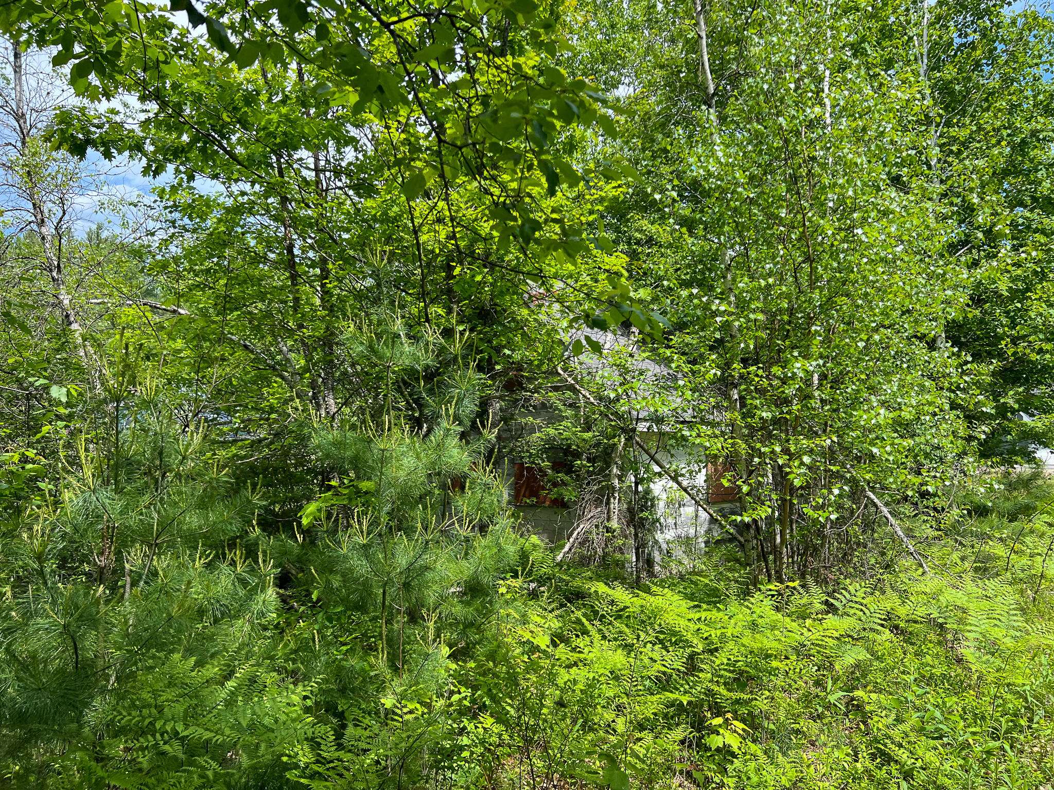 Dixfield, ME 04224,124 Common RD