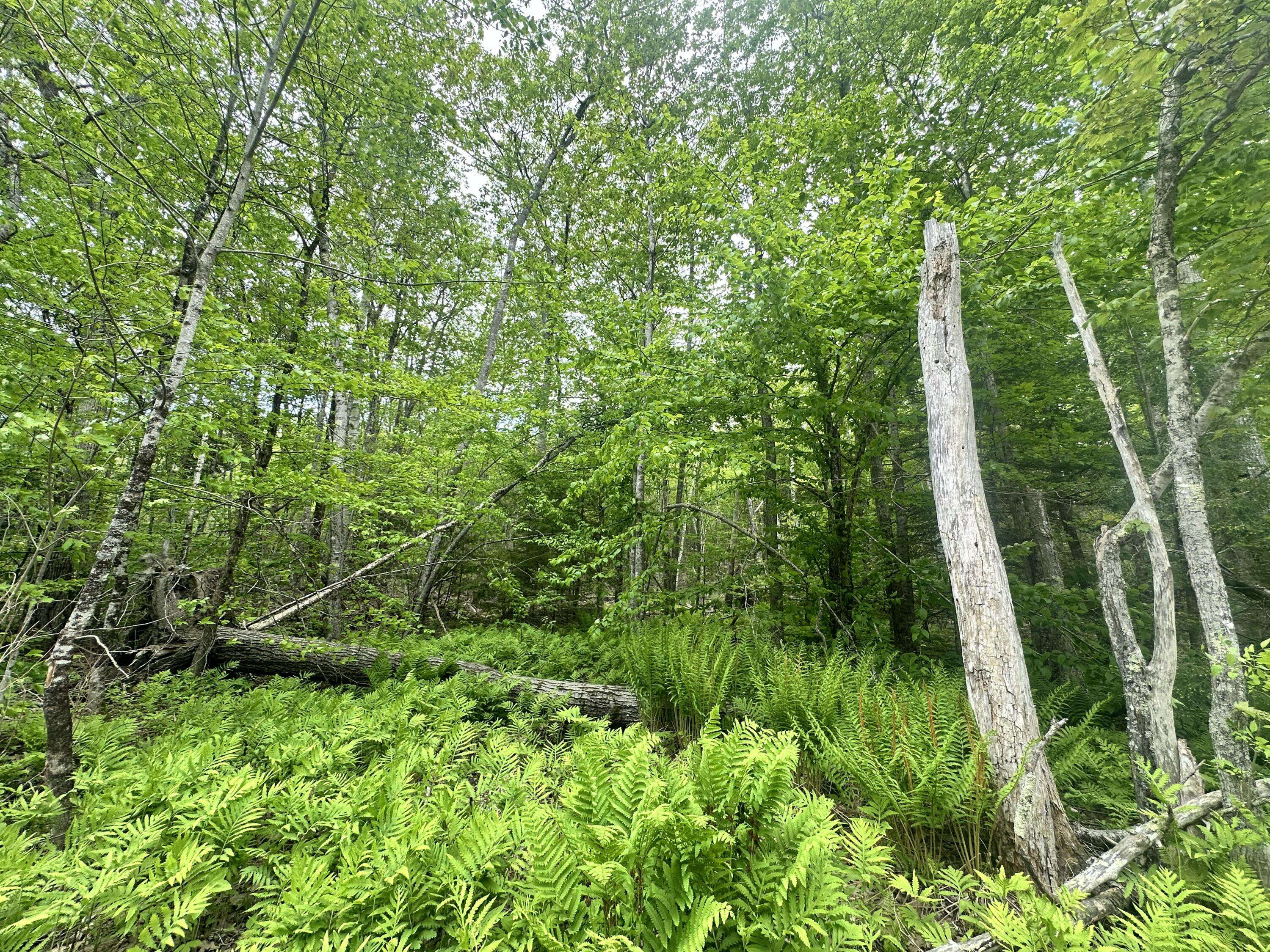Lincolnville, ME 04849,Lot #15 Greenacre RD