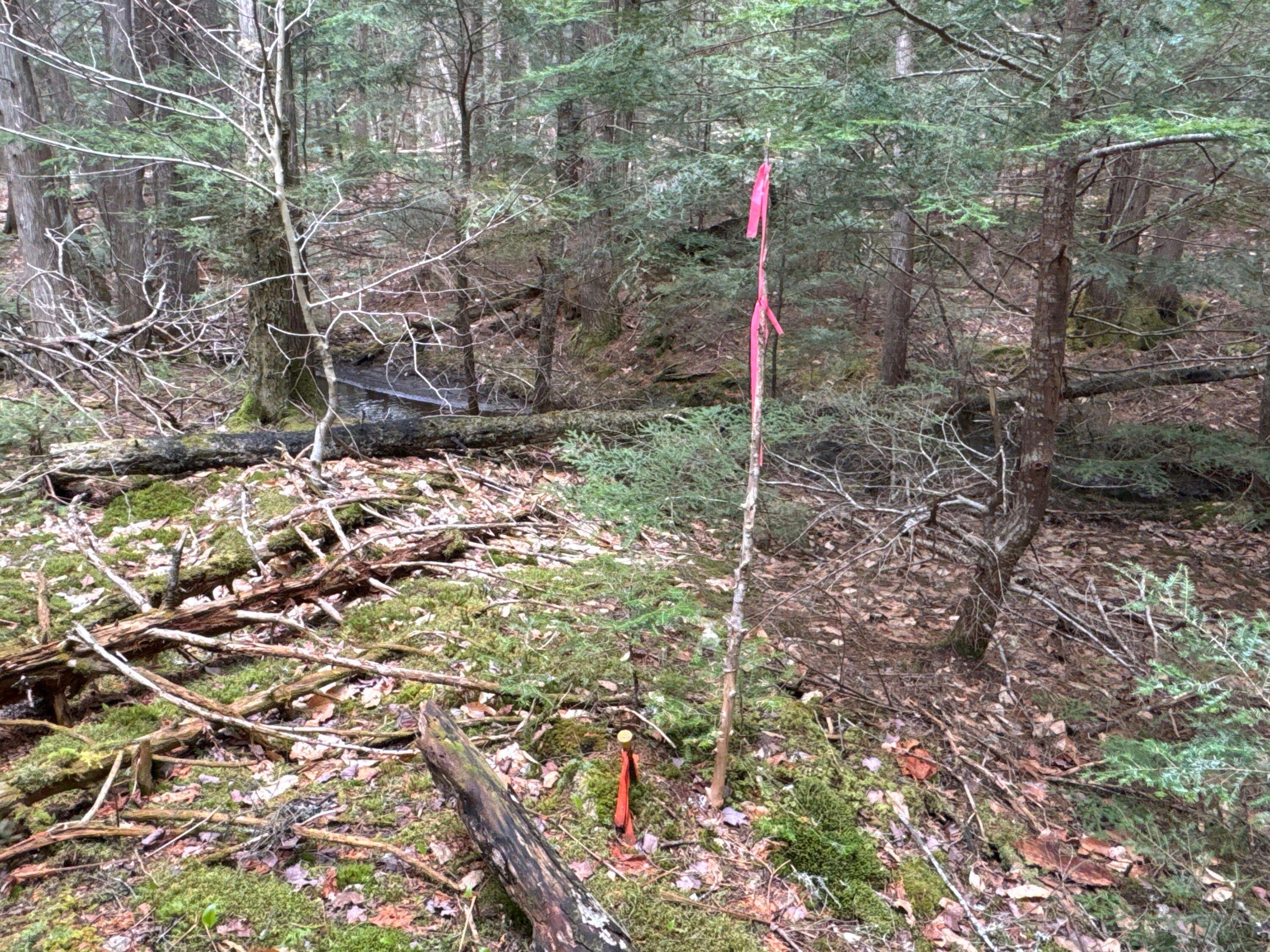 Lee, ME 04455,Lot 14-6 North RD