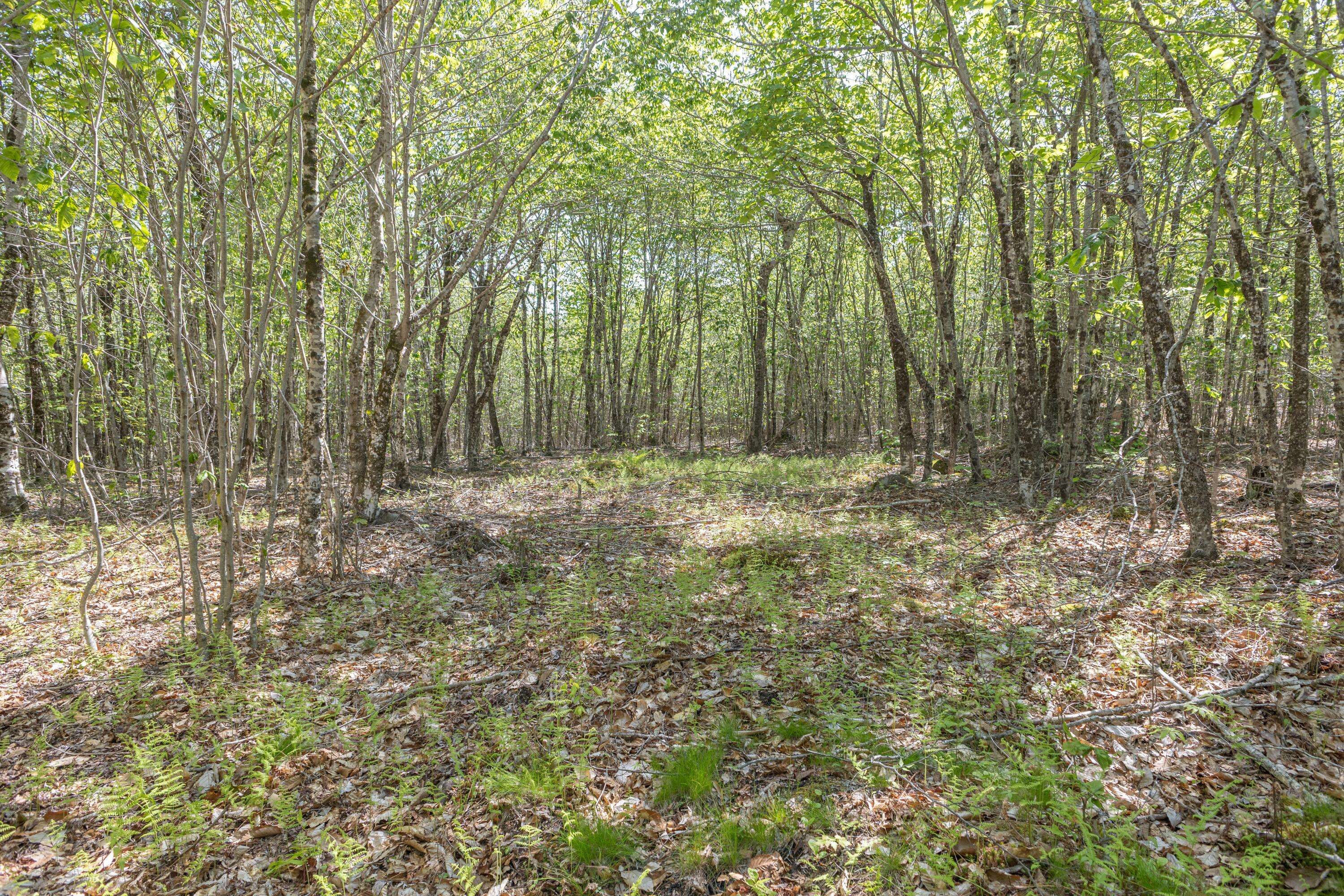 Dedham, ME 04429,M6, L3 Beech Hill Pond RD