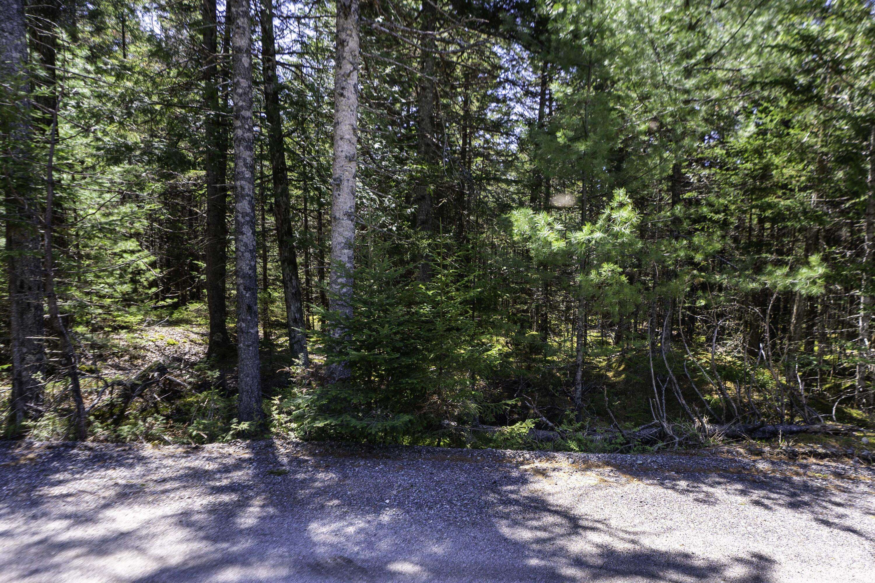 Bar Harbor, ME 04609,Lot 38 Arrowhead RD