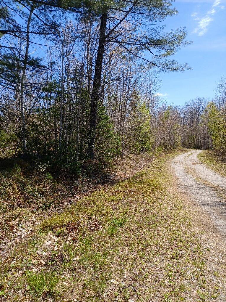 Deblois, ME 04622,40 A Eleanor Mae RD