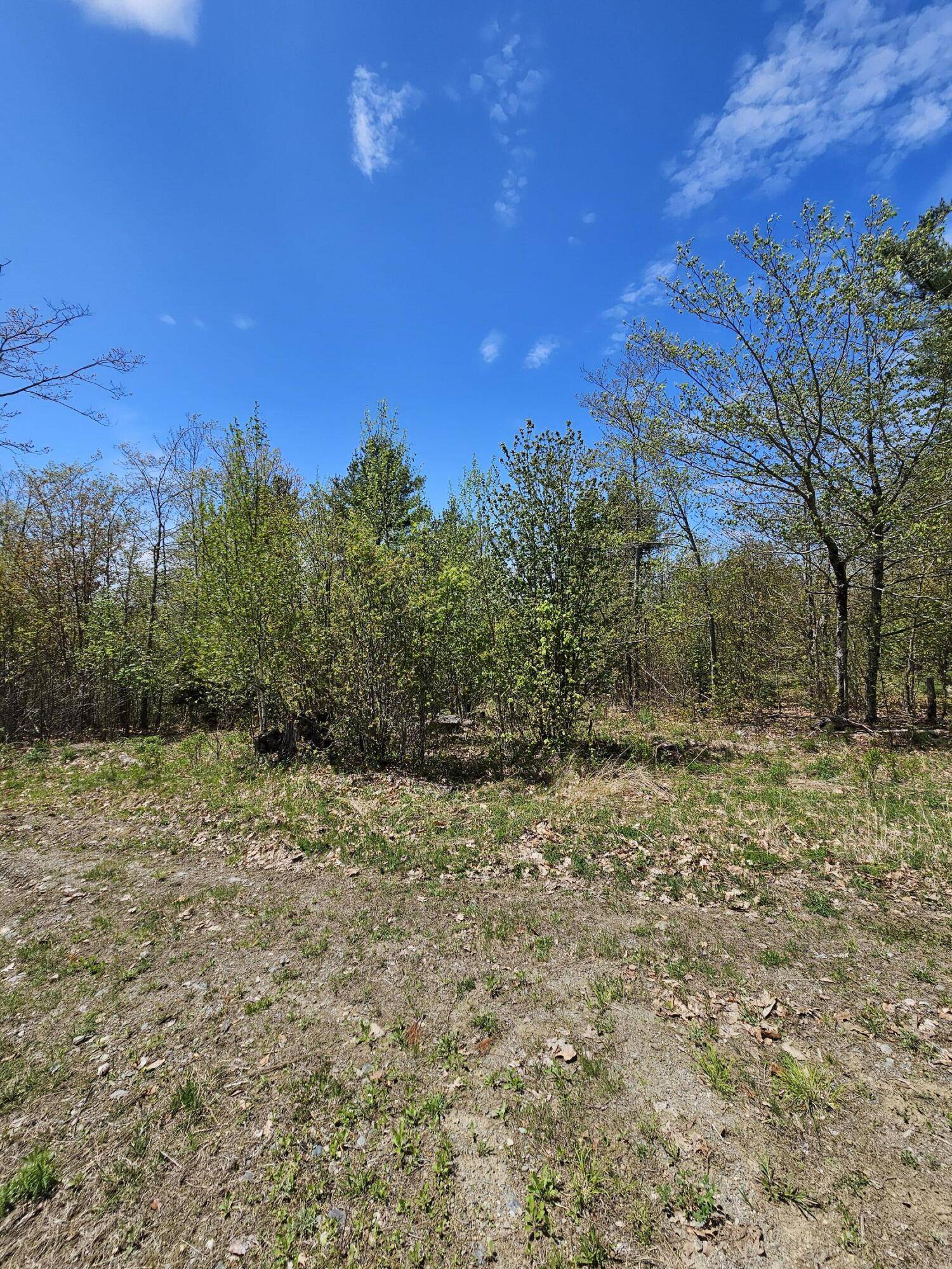 Orrington, ME 04474,Lot 47 Betts RD