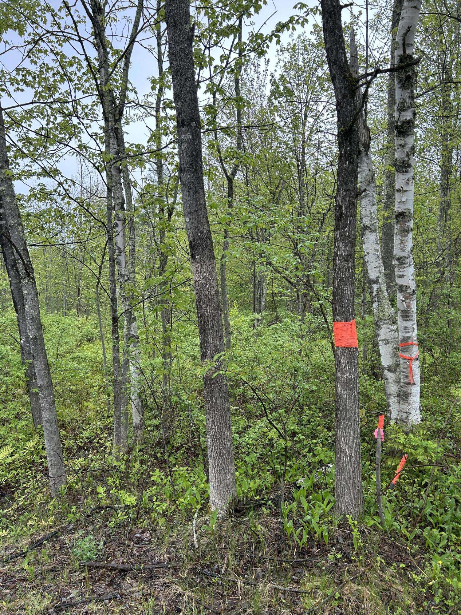 Winthrop, ME 04364,M10, L14I Sturtevant Hill RD