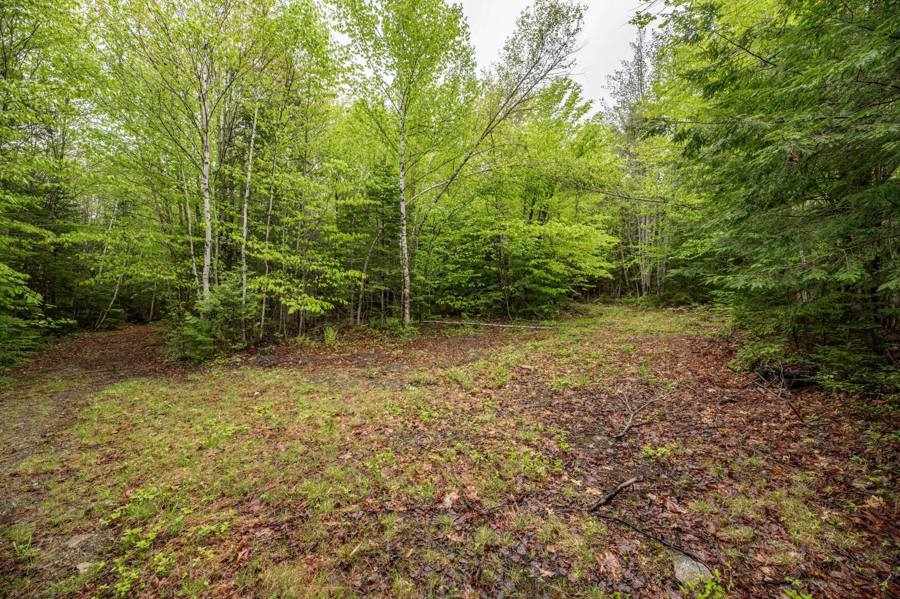 Medford, ME 04463,Lot I Partridge LN