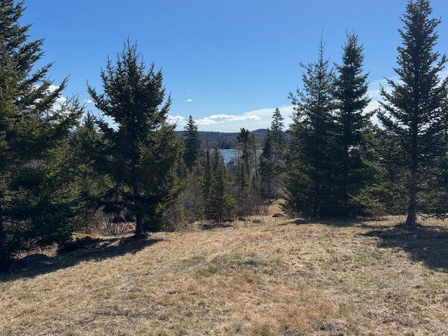 Castine, ME 04421,M17 L15 Battle AVE
