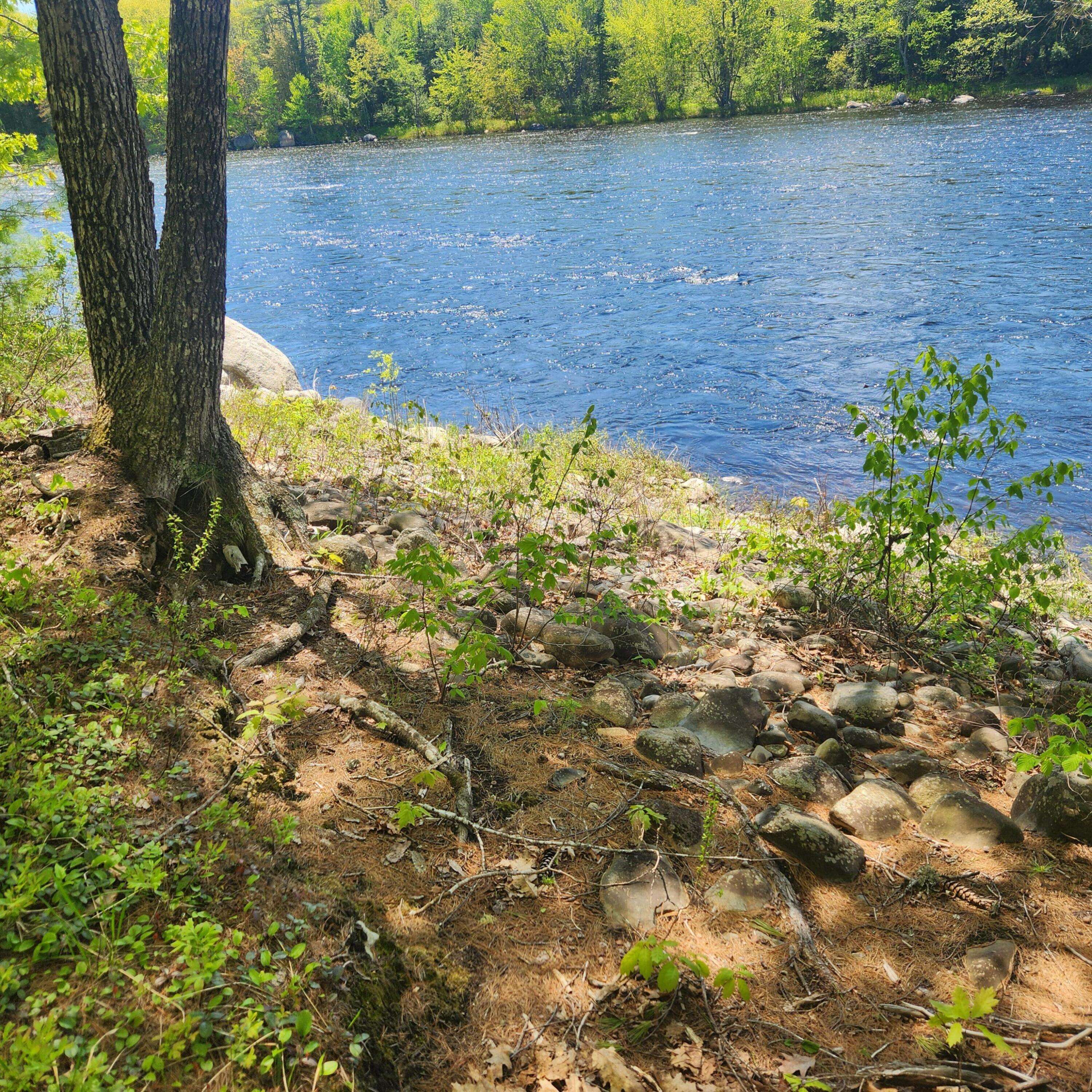 Medford, ME 04463,849 North RD
