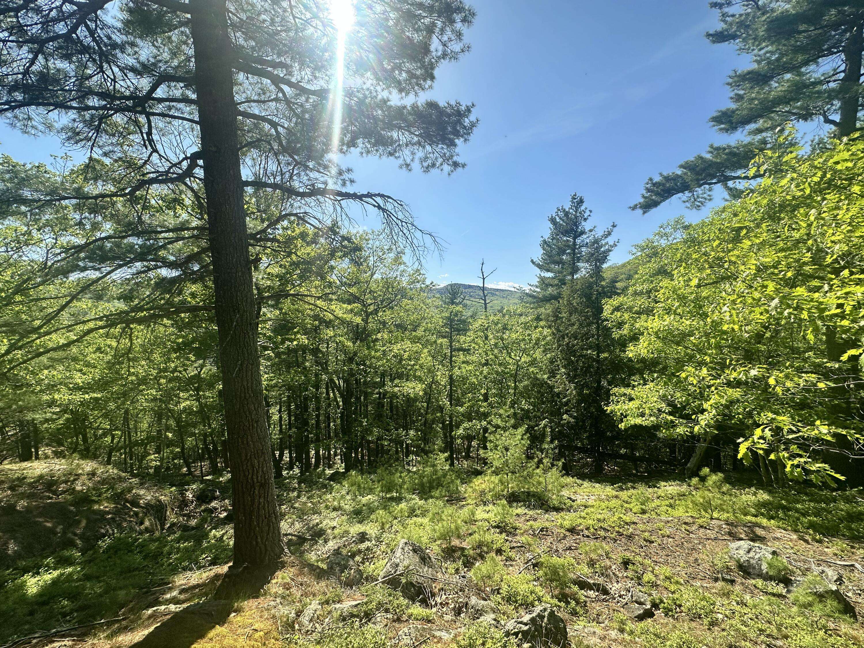 Camden, ME 04843,Lot 1 Oak Ridge LN