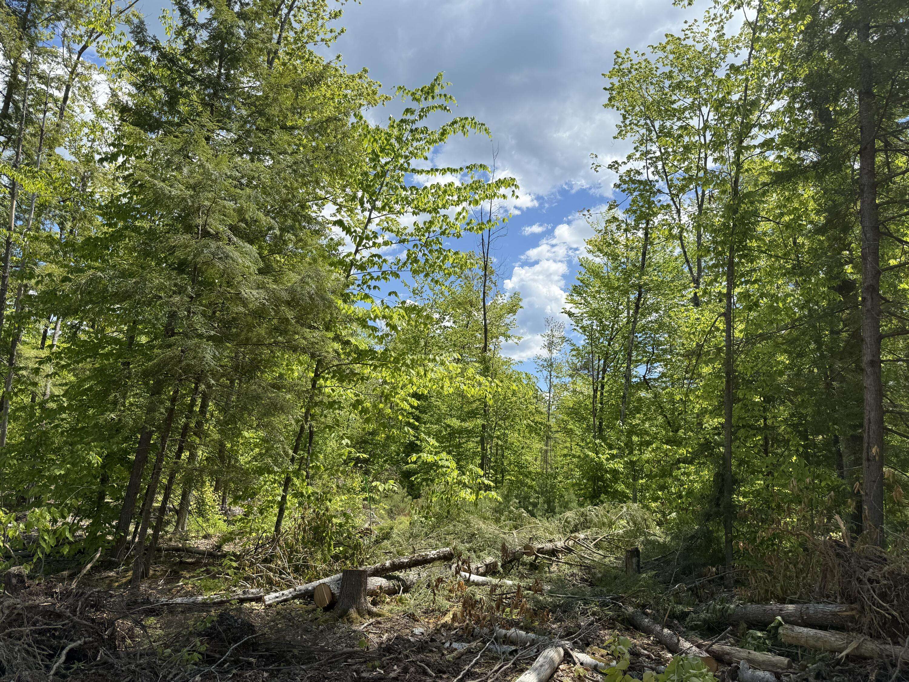 Harrison, ME 04040,0 Rocky Point RD