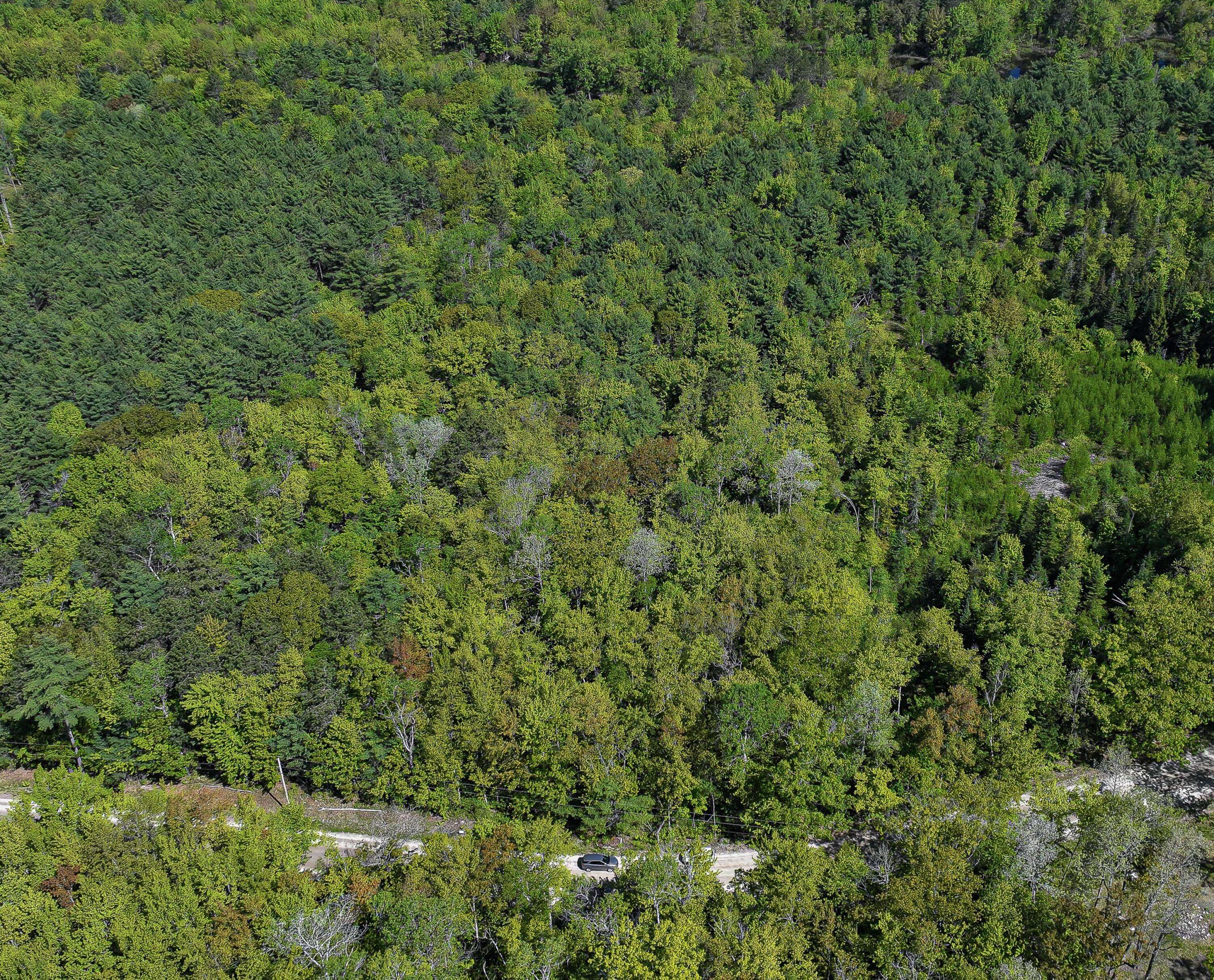 Brownfield, ME 04010,Lot 002-00 Riverbend RD