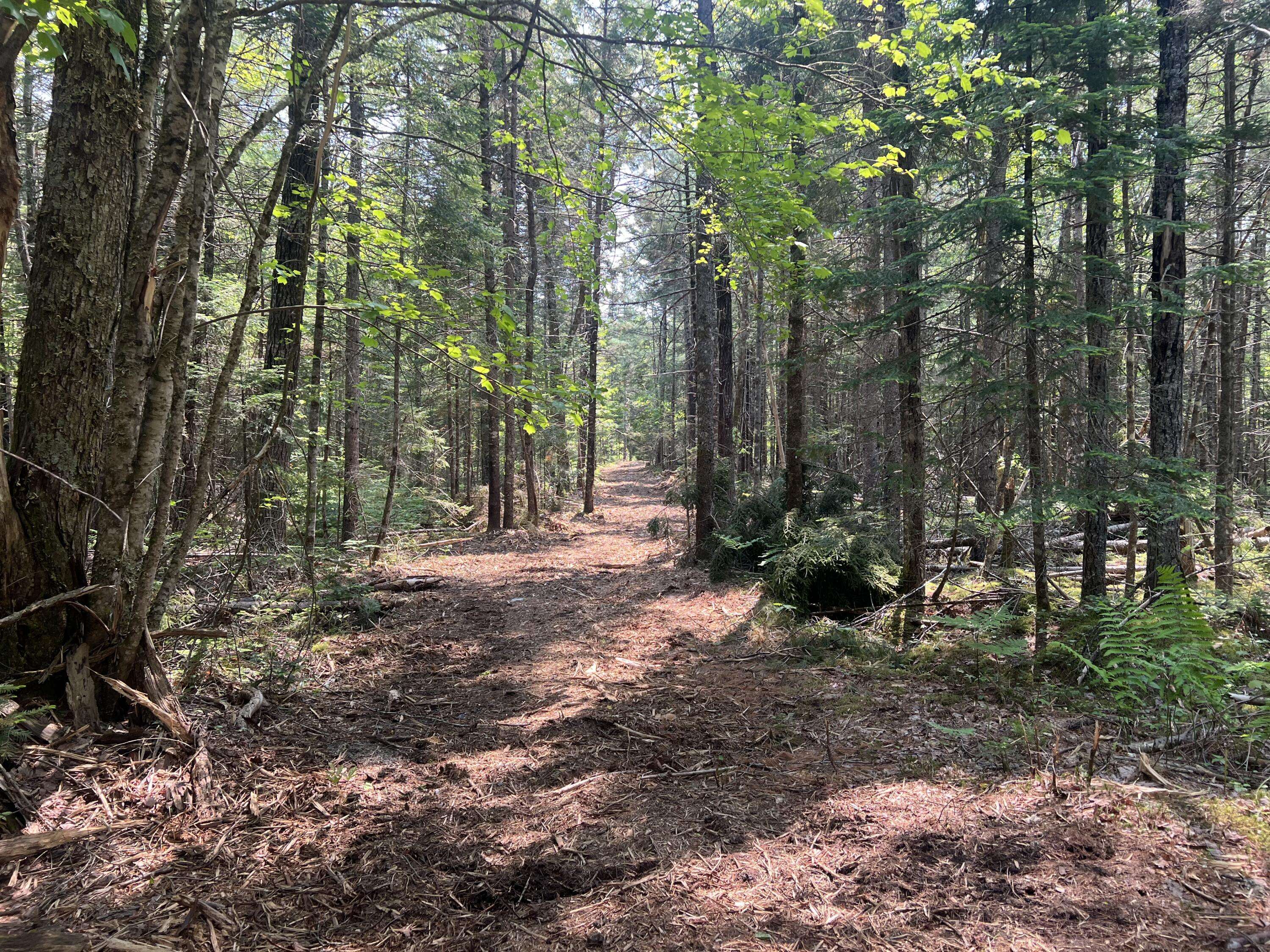 Waltham, ME 04605,6 Taylor Woods RD