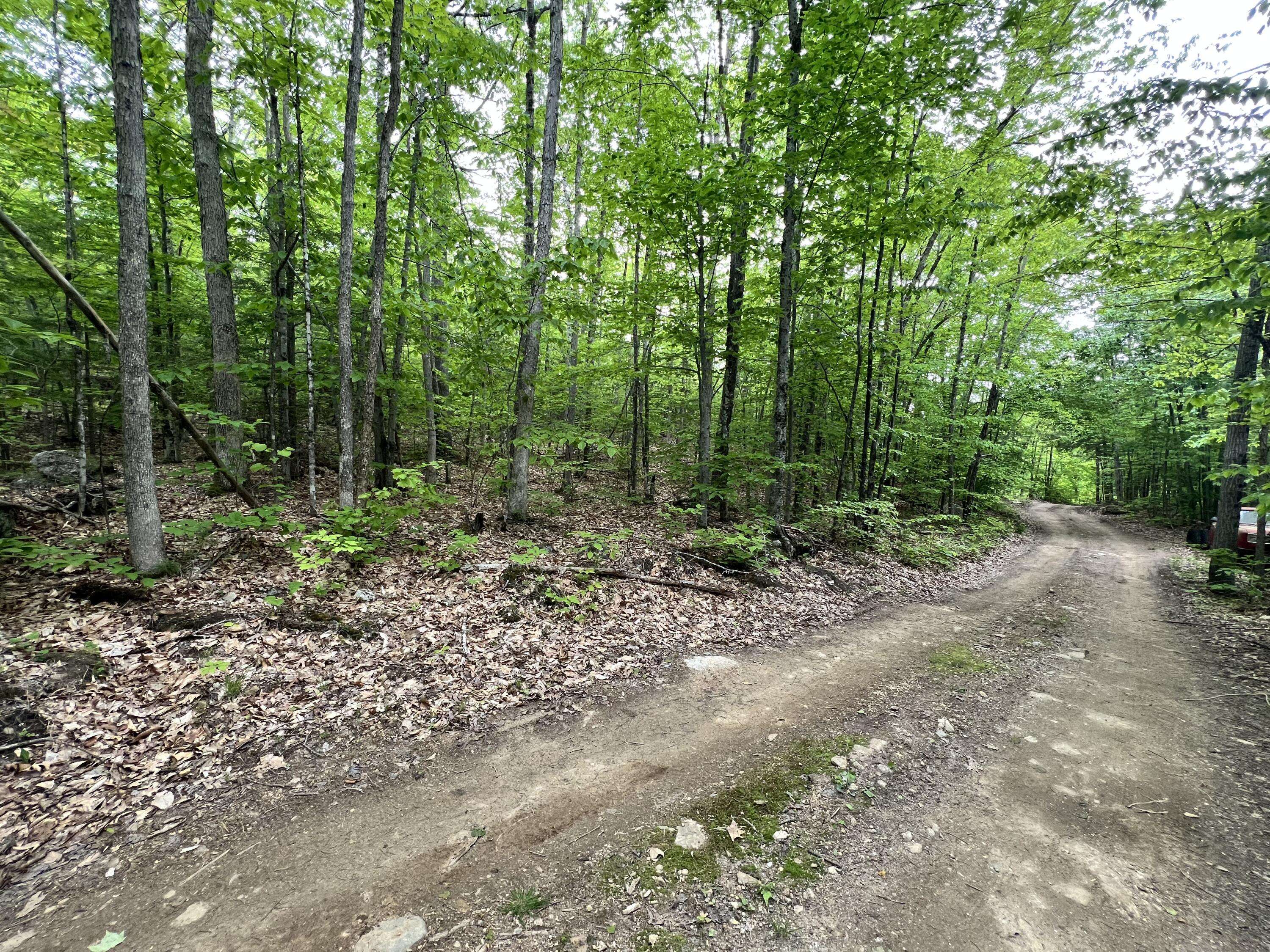 Hiram, ME 04041,0 Ledgeview HTS