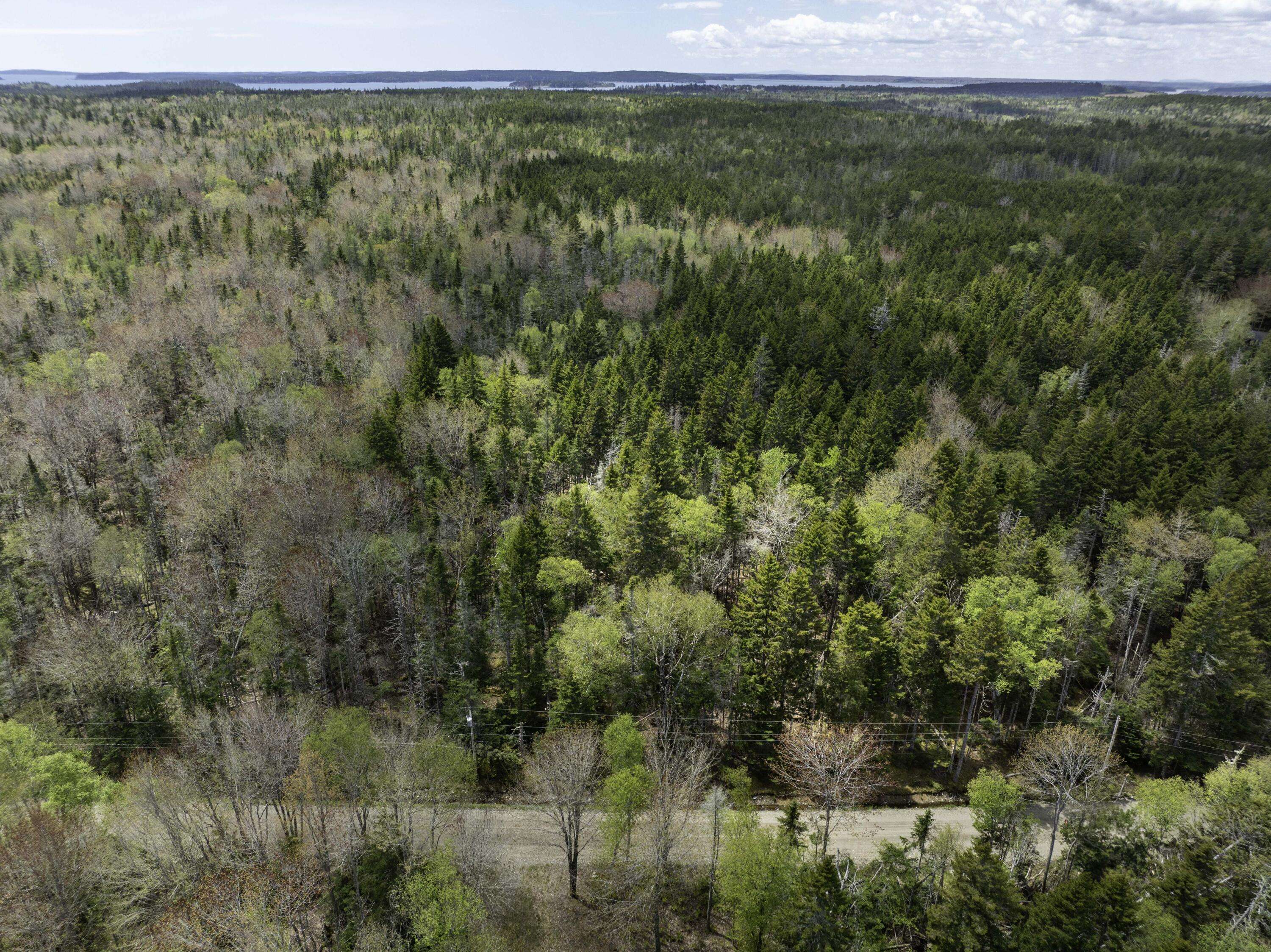 Roque Bluffs, ME 04654,6,165,165A Duck Cove RD
