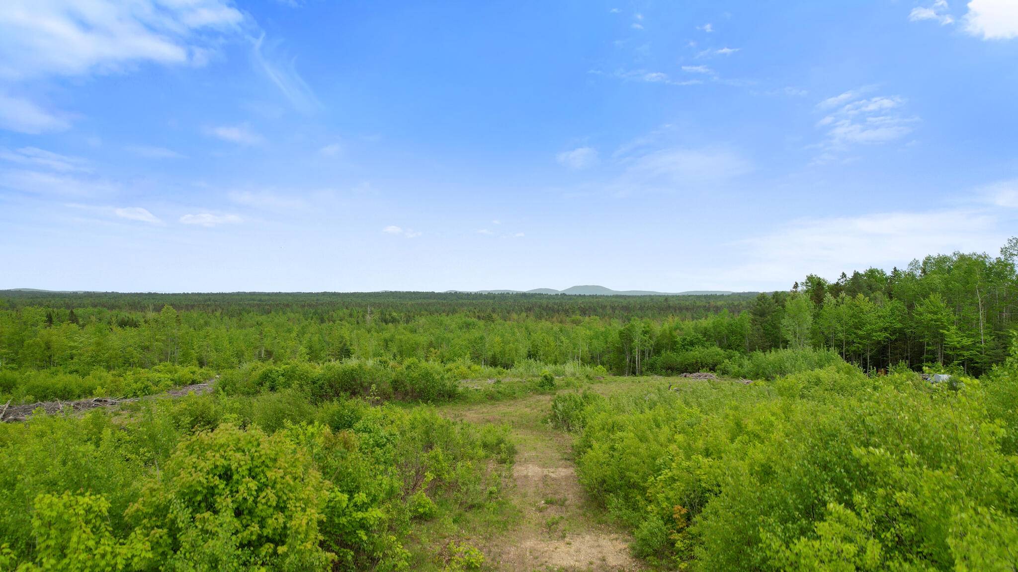 Greenbush, ME 04418,Map8Lot10 Cardville RD