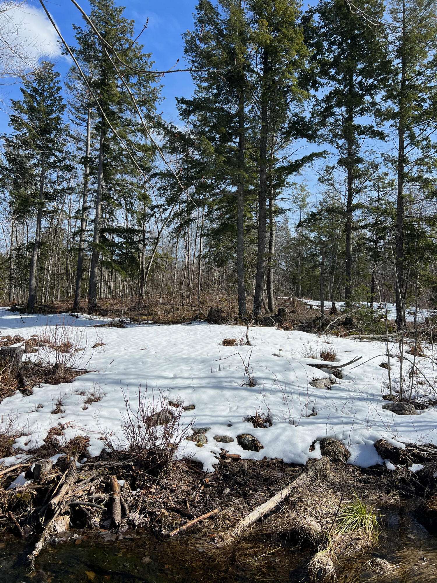 Stoneham, ME 04231,222 Butters Hill RD