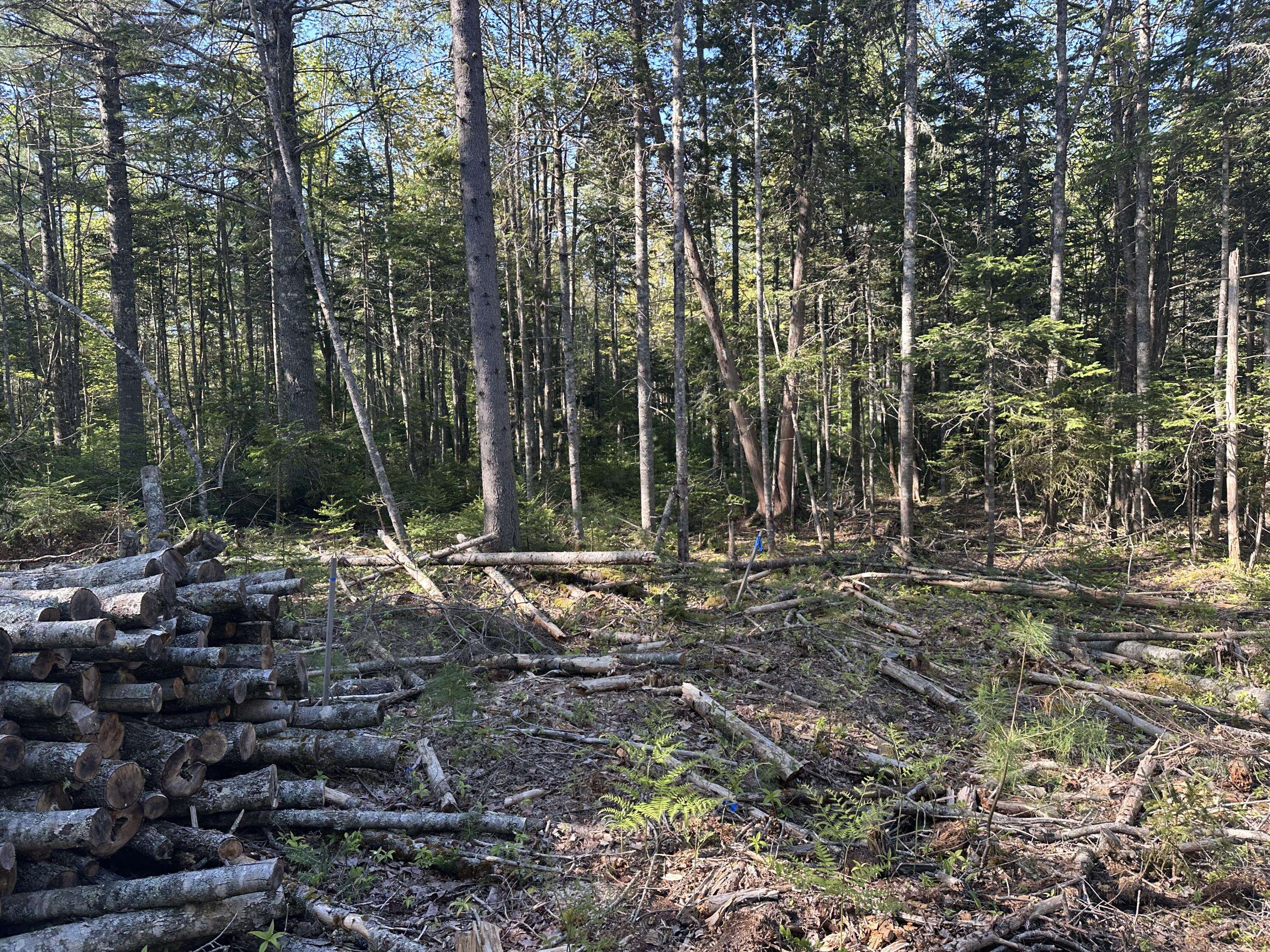 Blue Hill, ME 04614,61 Gerards Trail TRL
