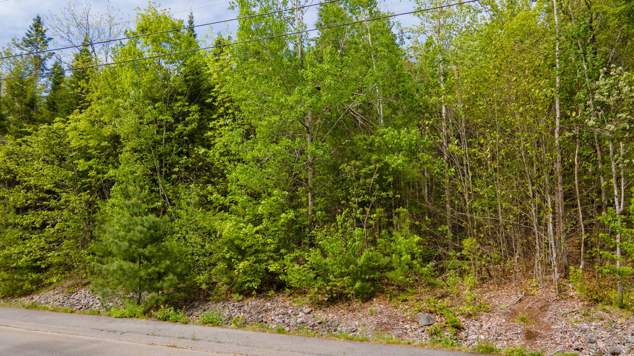 Orono, ME 04473,Lot 12 Grant RD