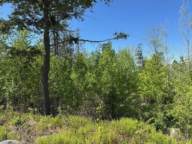 Lee, ME 04455,Lot 4 Mt. Jefferson HTS