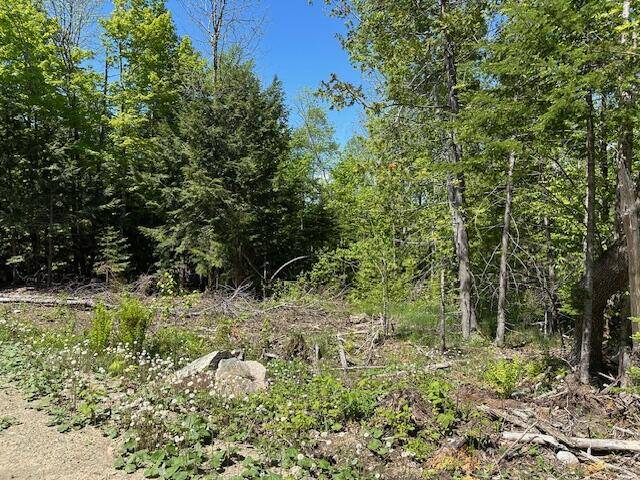 Lee, ME 04455,Lot 9 Mt. Jefferson HTS