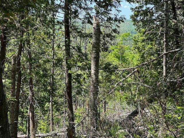 Lee, ME 04455,Lot 13 Mt. Jefferson HTS