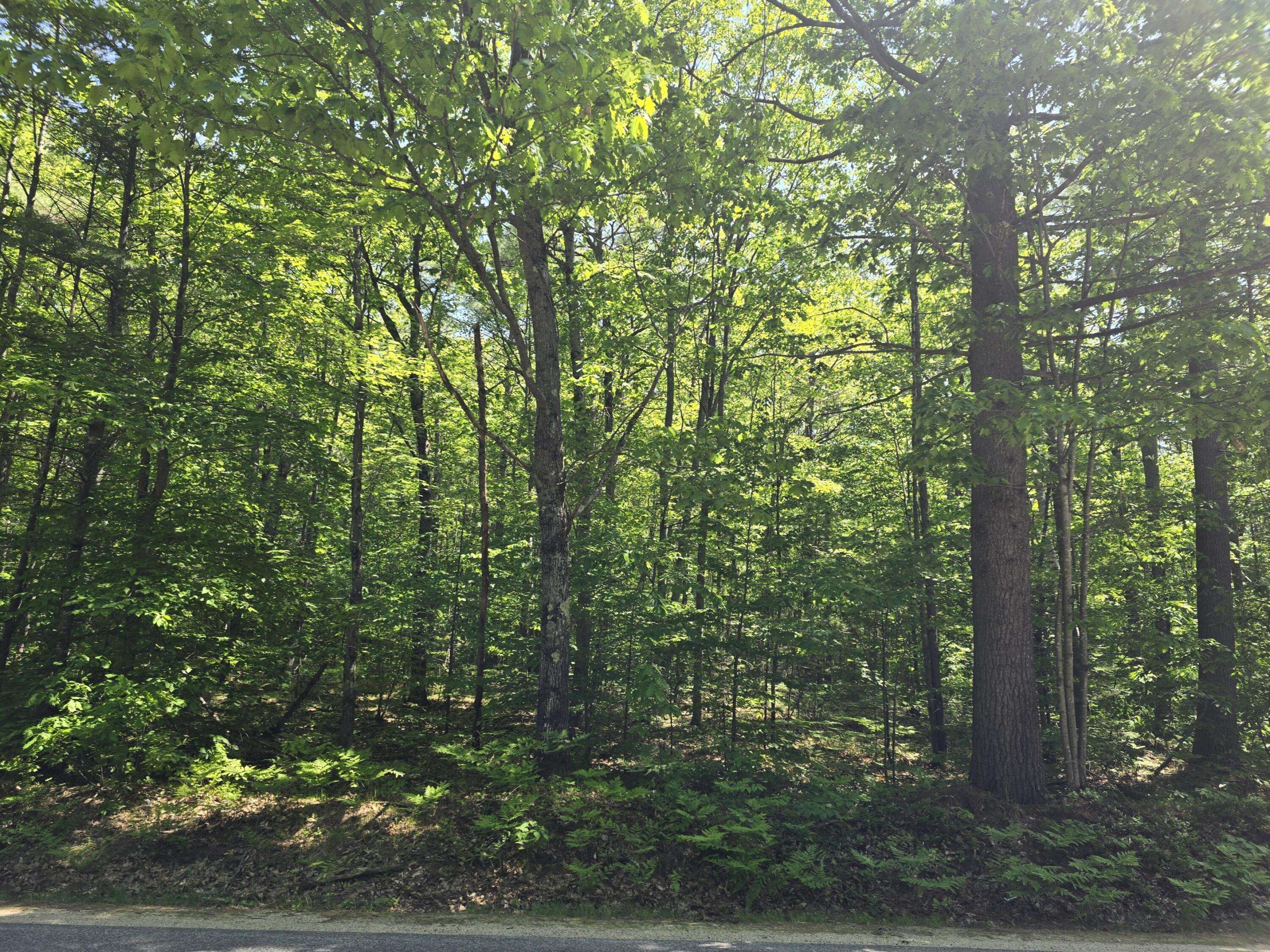 Oxford, ME 04270,LotR10Map4 Skeetfield RD