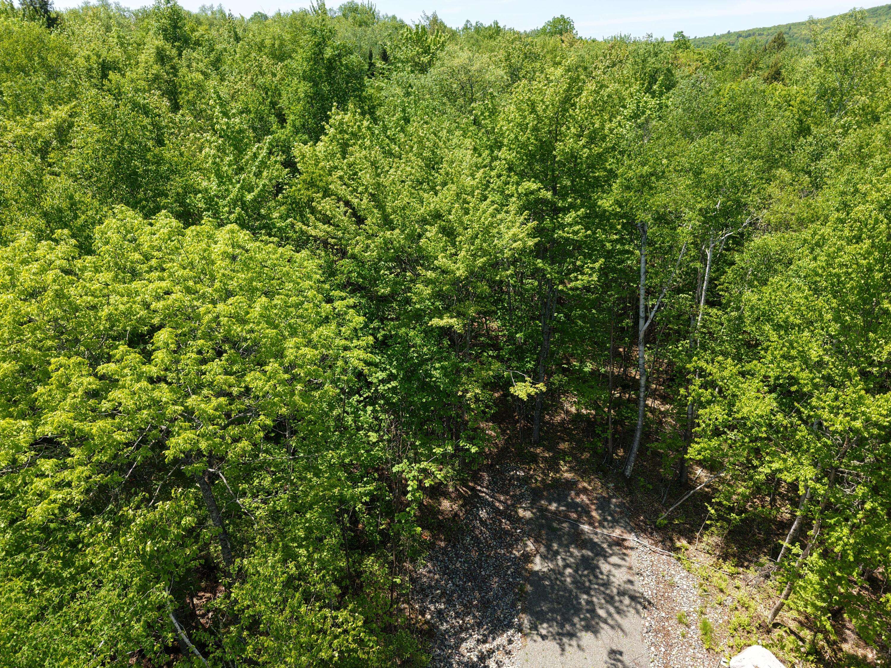 Embden, ME 04958,M7 L1-4 Pine Bluff DR