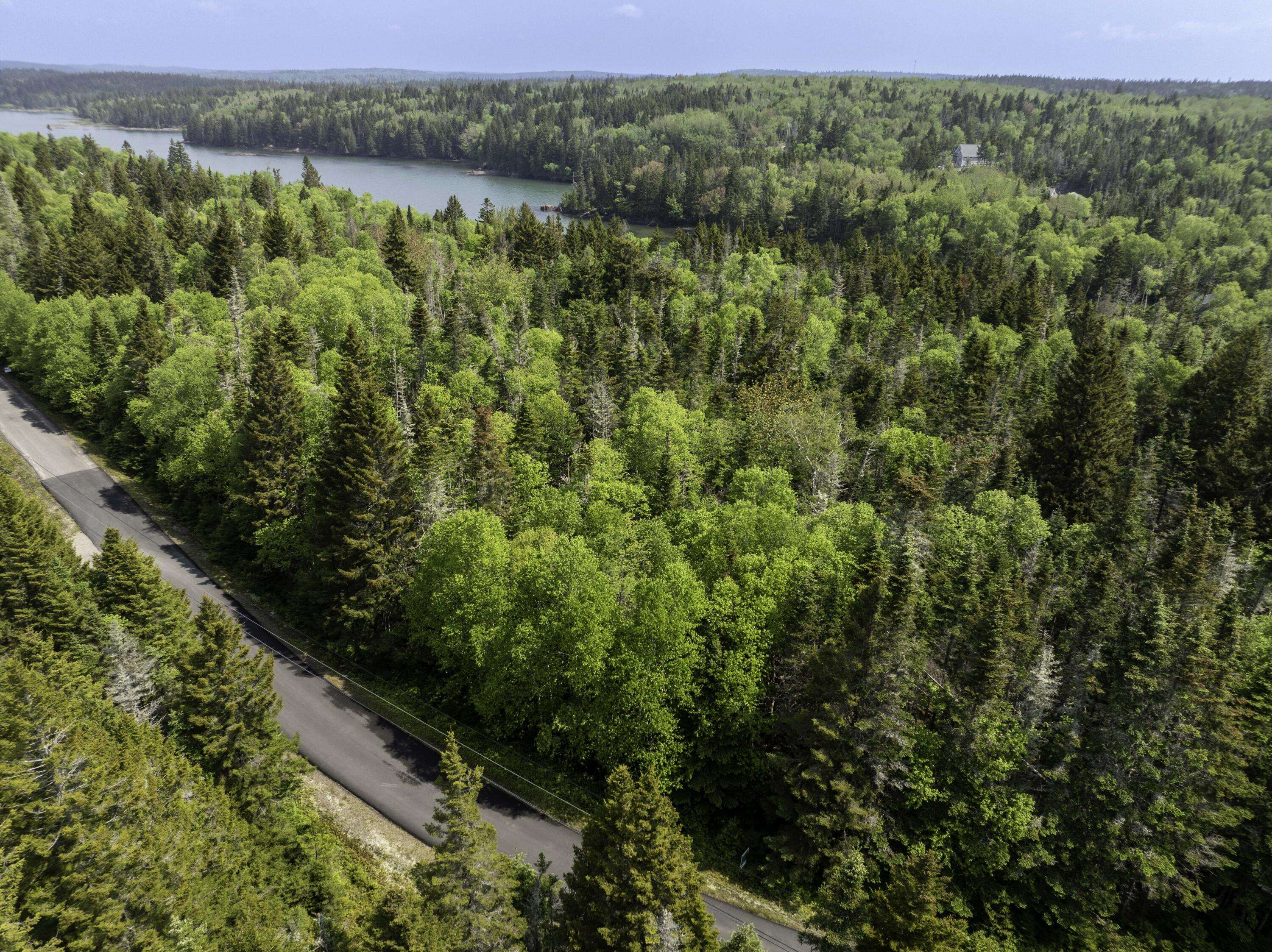 Machiasport, ME 04655,47 Yoho Head RD