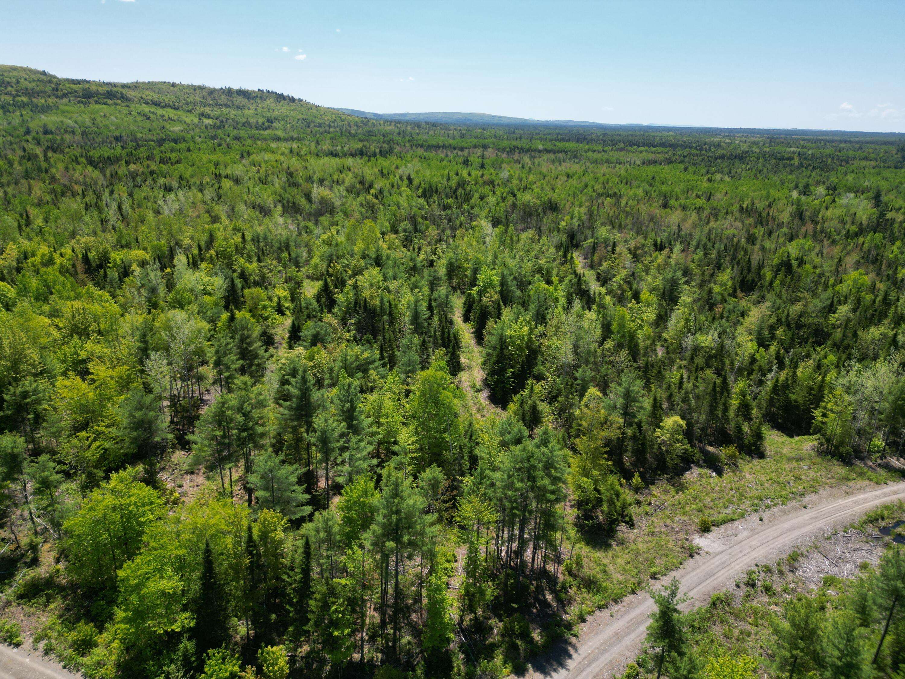Lowell, ME 04493,Lot 9 Chickadee LN