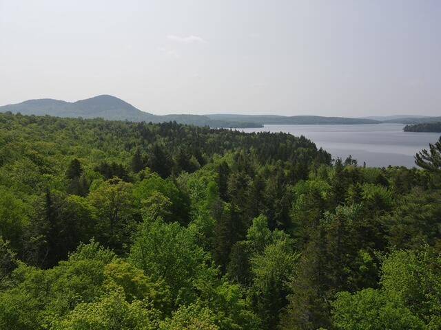 Greenville, ME 04441,Lot 2 Scammon RD