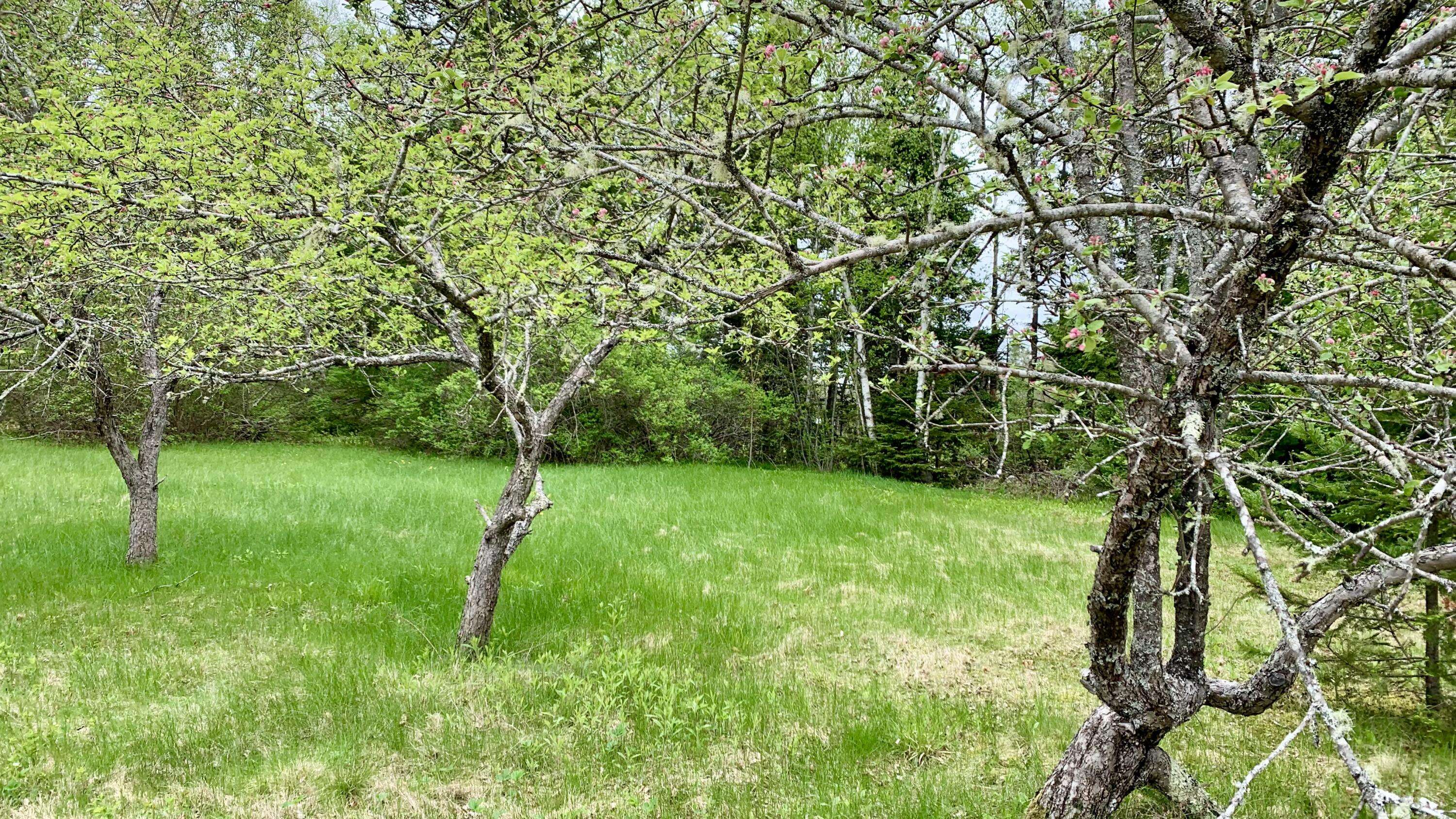 Cathance Twp, ME 04630,191 Route 191 N Route