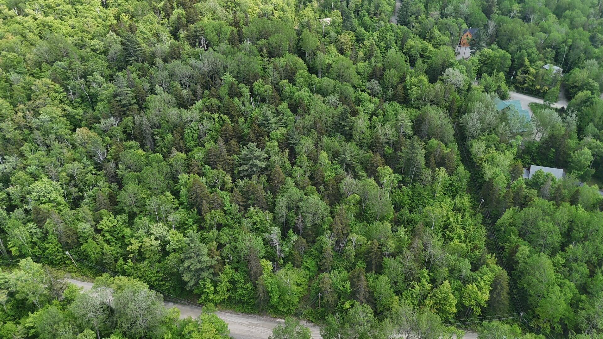 Carrabassett Valley, ME 04947,2008 Deer Hill RD