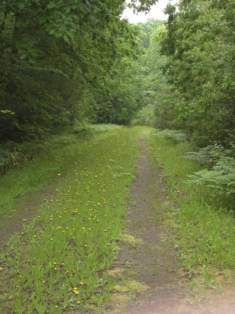 Smithfield, ME 04978,Lot 11 Patriots LN