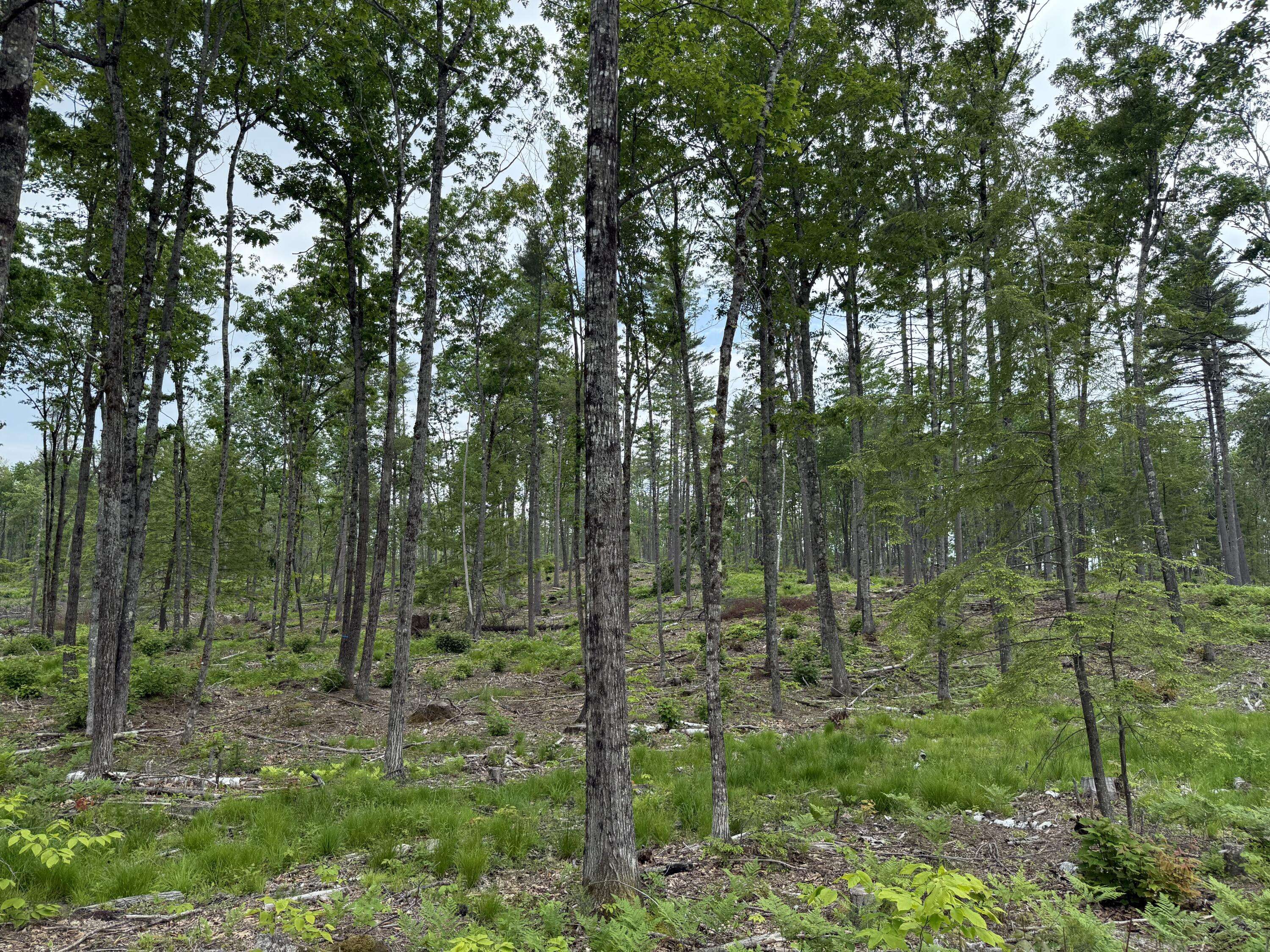 Bridgton, ME 04009,Lot 4 Isaac Stevens RD
